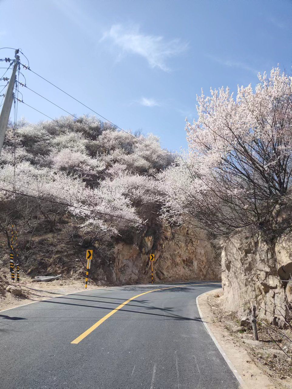 观莲台旅行图片 2