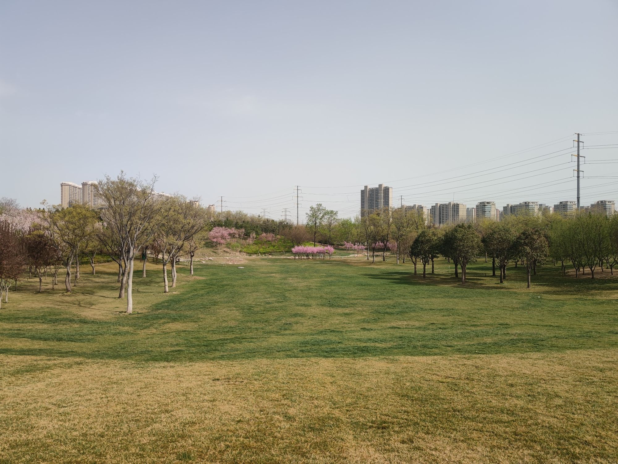 郑东新区双河公园旅行图片 2