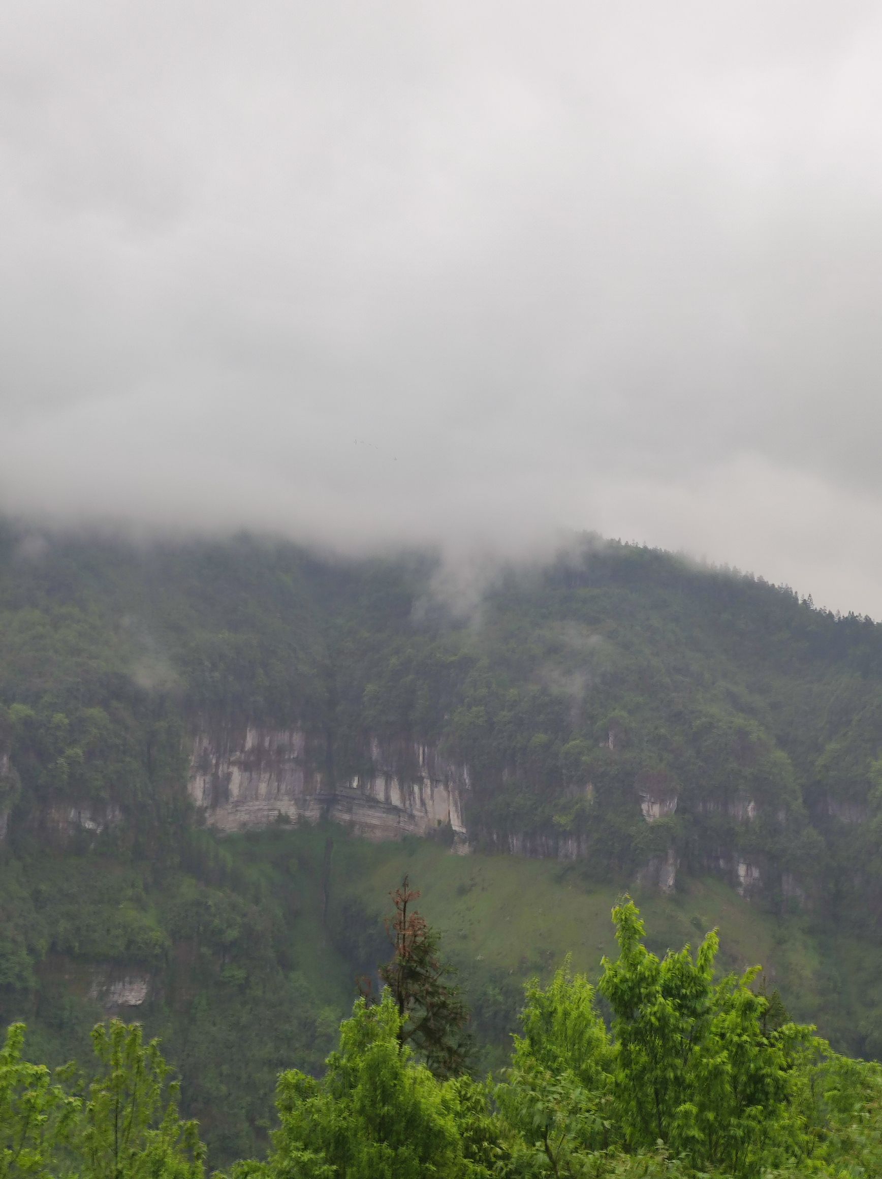 黄莺大峡谷旅行图片 3