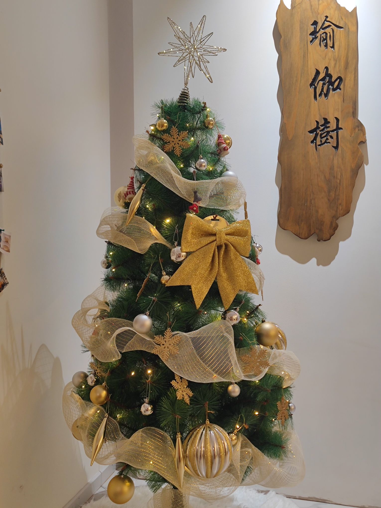 场地封面-瑜伽树·瑜伽普拉提