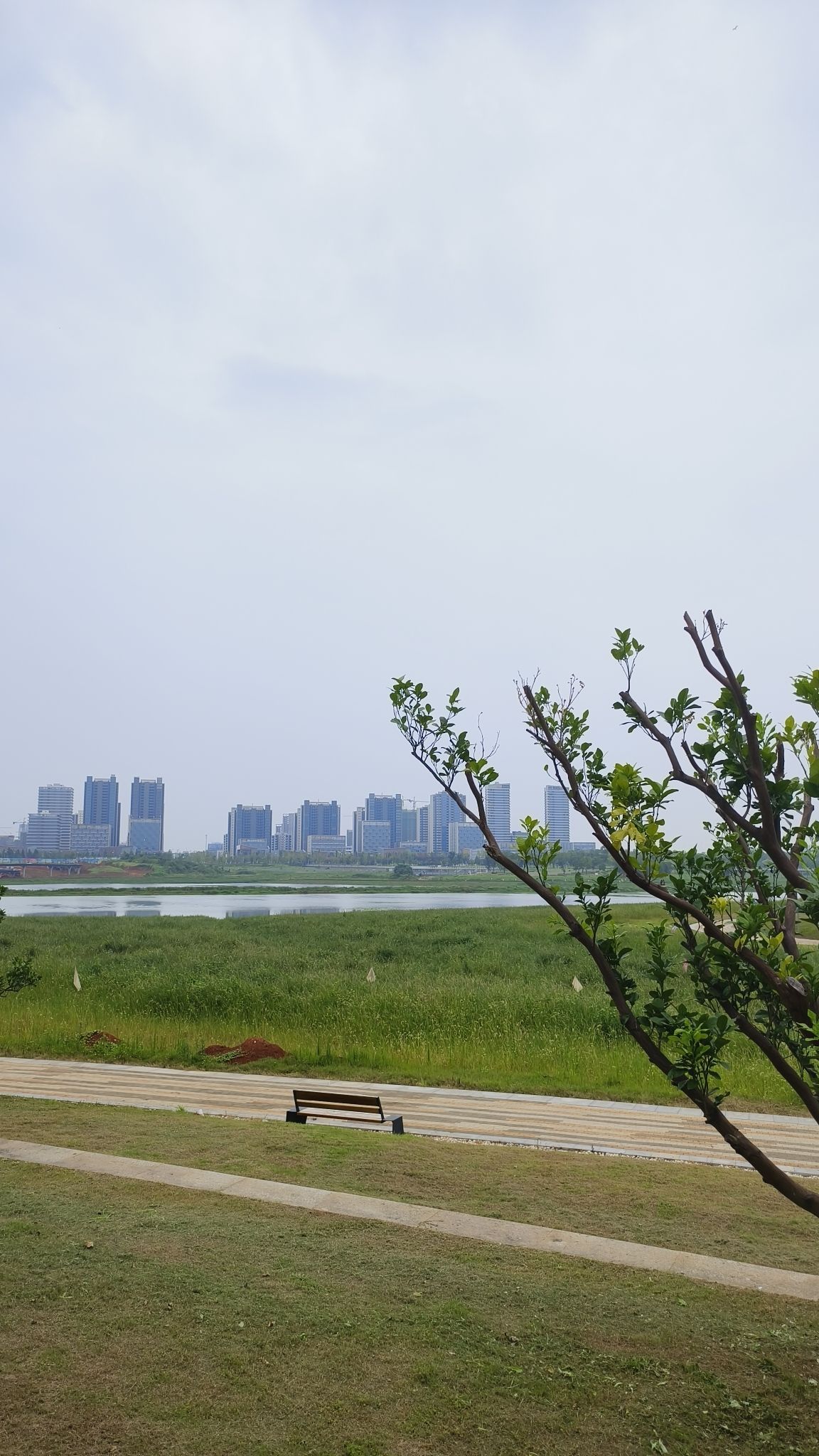 儒乐湖滨江公园旅行图片 1