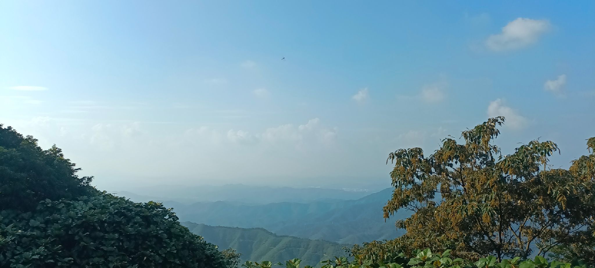 大端风车山旅行图片 3