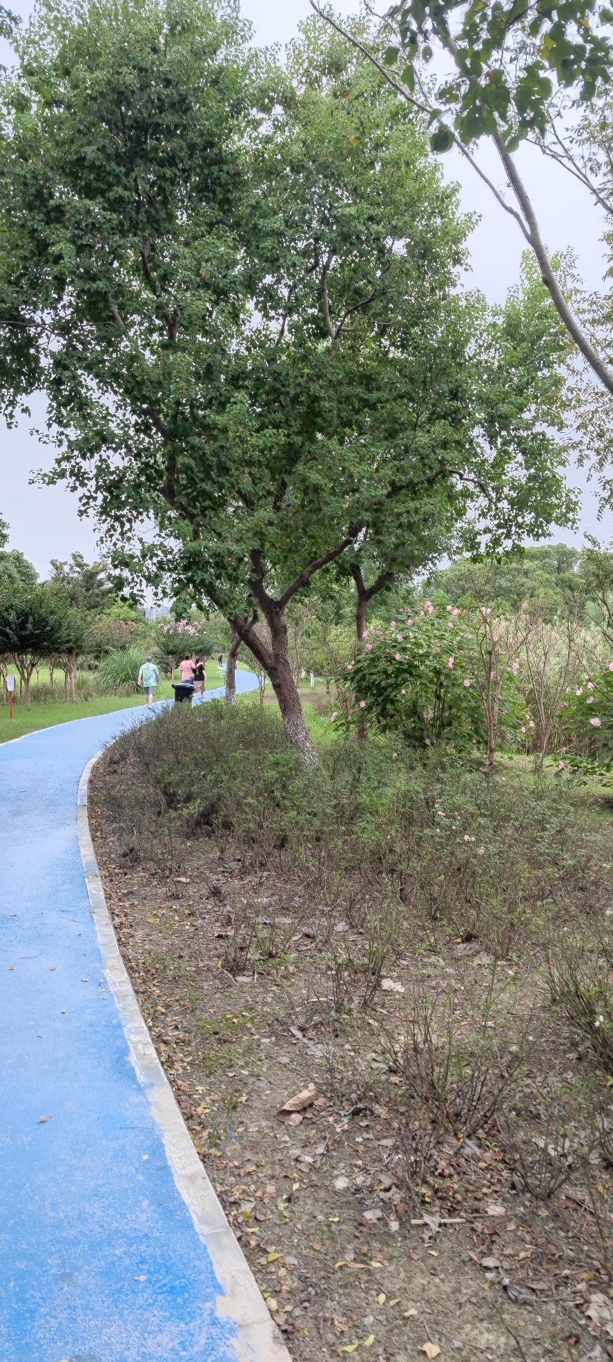 邹浦河湿地公园旅行图片 3