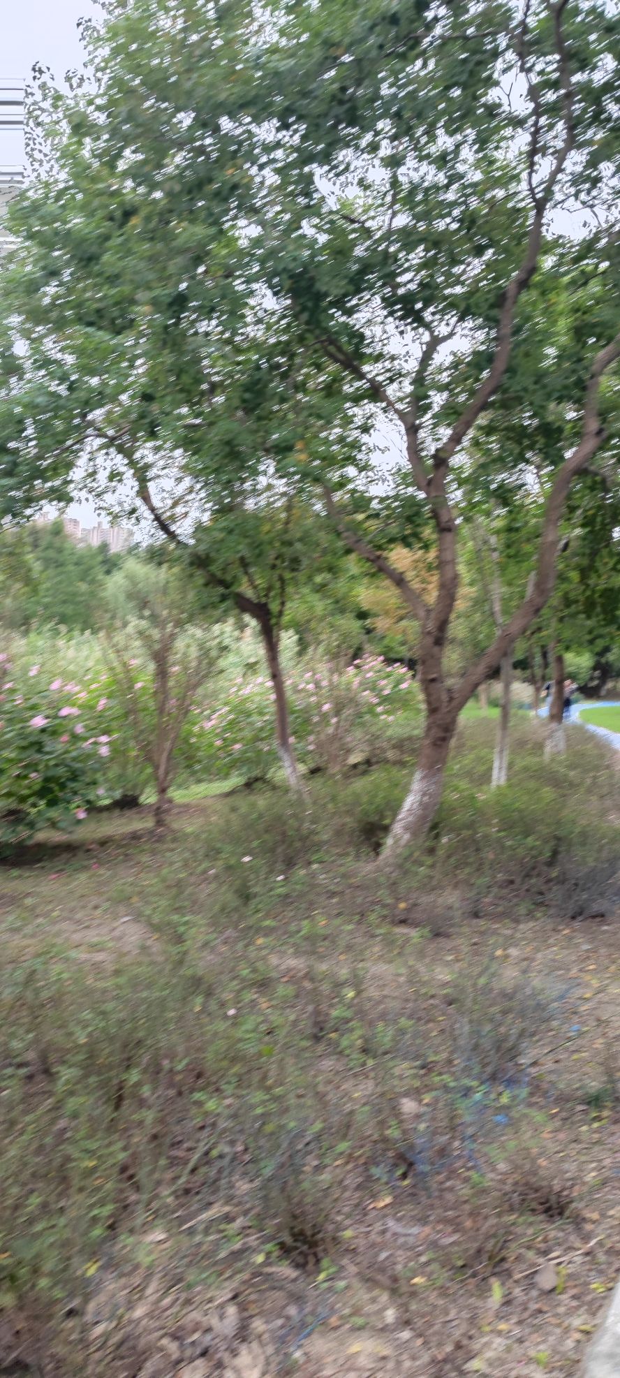 邹浦河湿地公园旅行图片 1