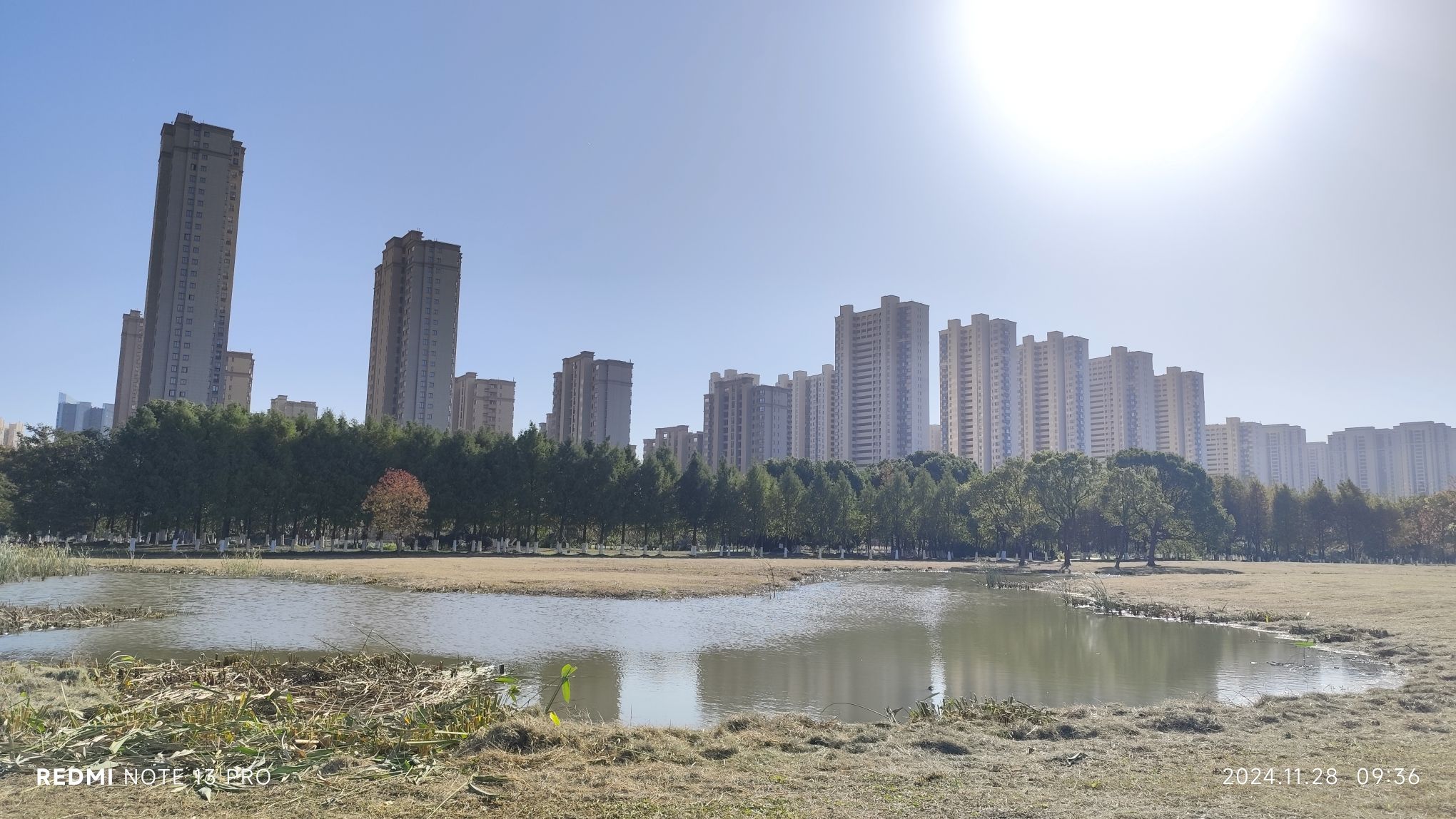 邹浦河湿地公园旅行图片 2