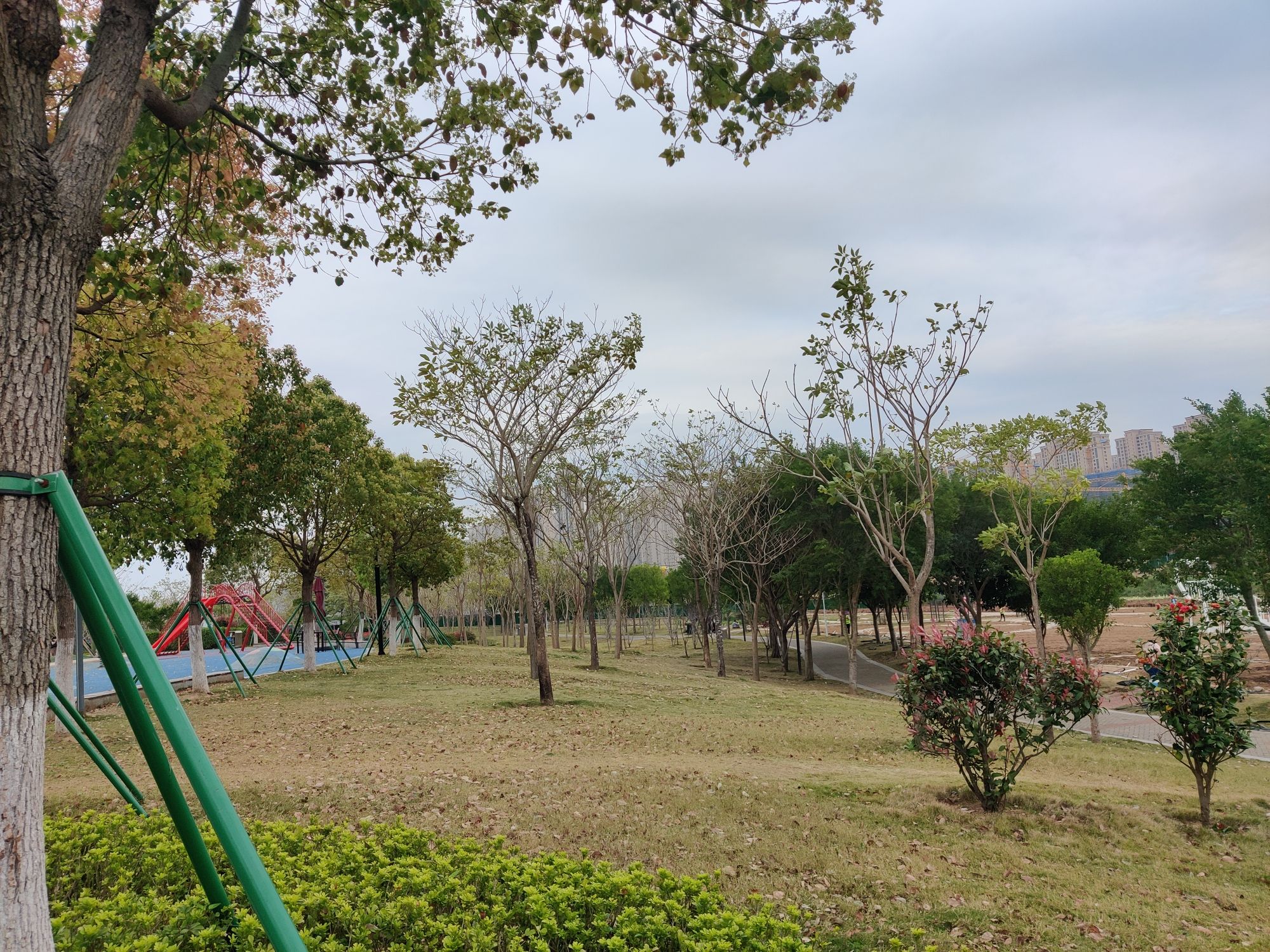 市民休闲公园旅行图片 2