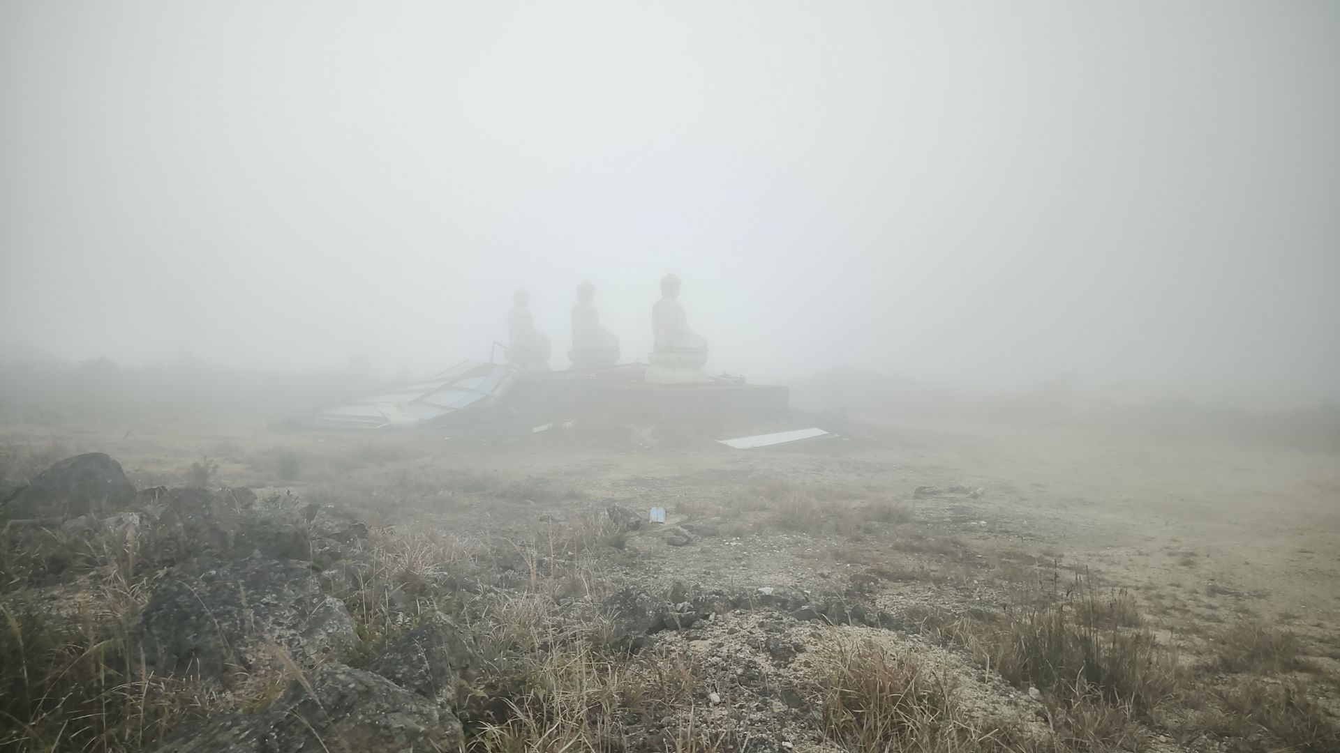 紫云山旅行图片 1