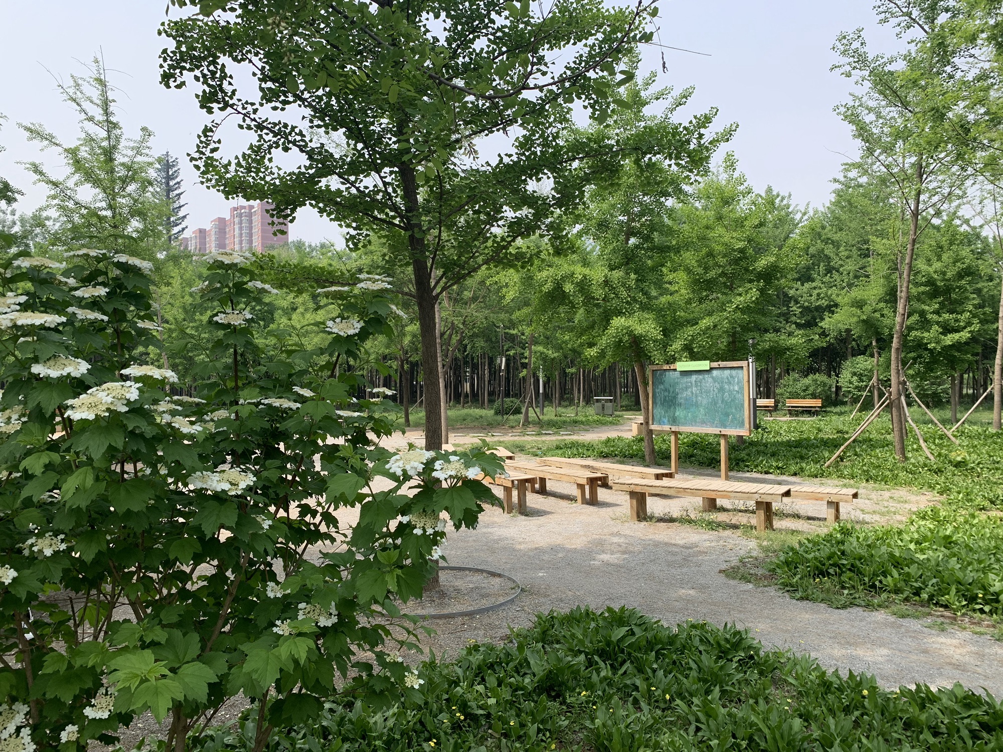 旺景公园旅行图片 2