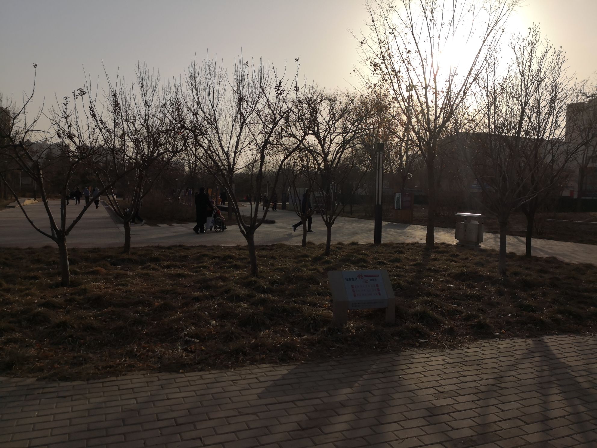 旺景公园旅行图片 2