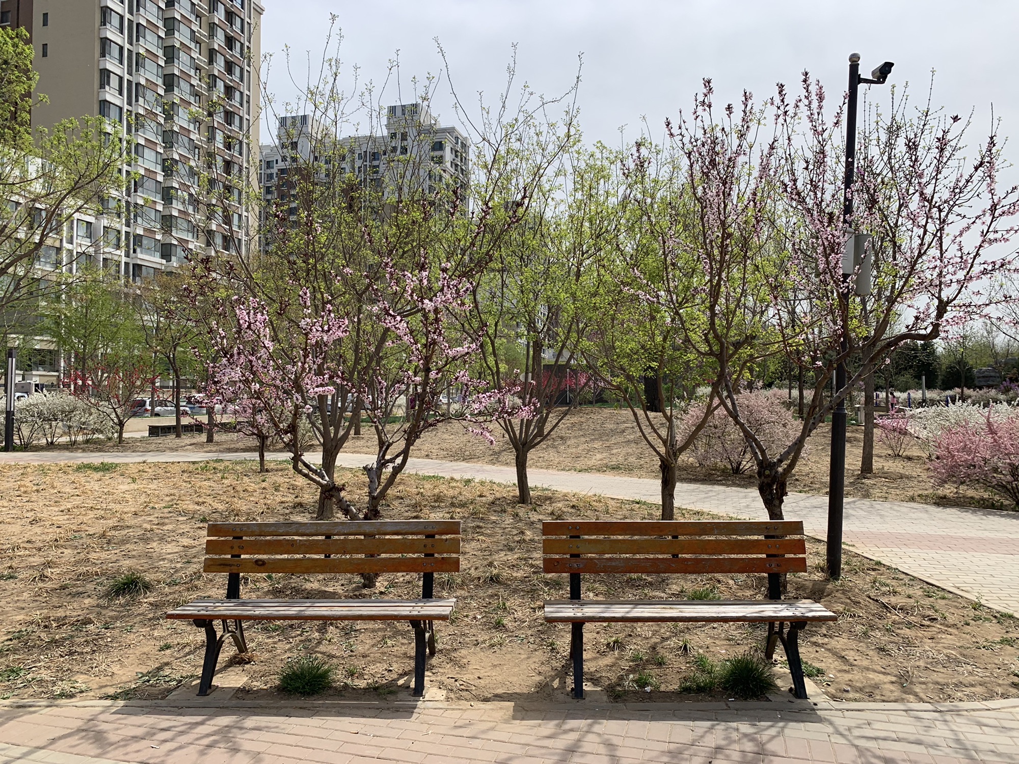 旺景公园旅行图片 2