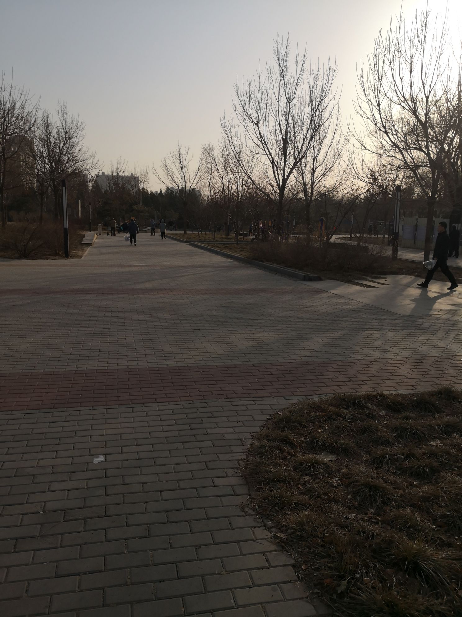 旺景公园旅行图片 3