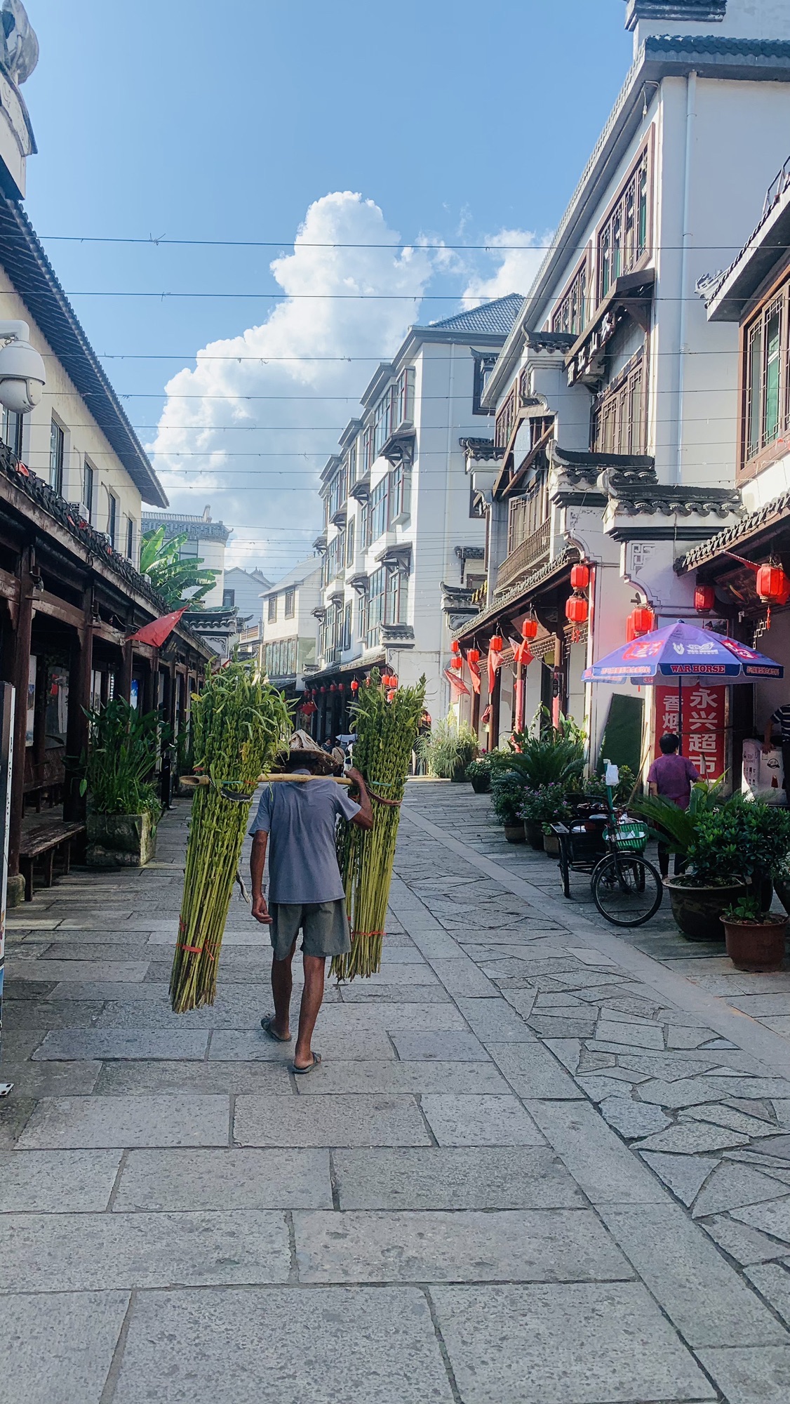 杜泽古镇旅行图片 2
