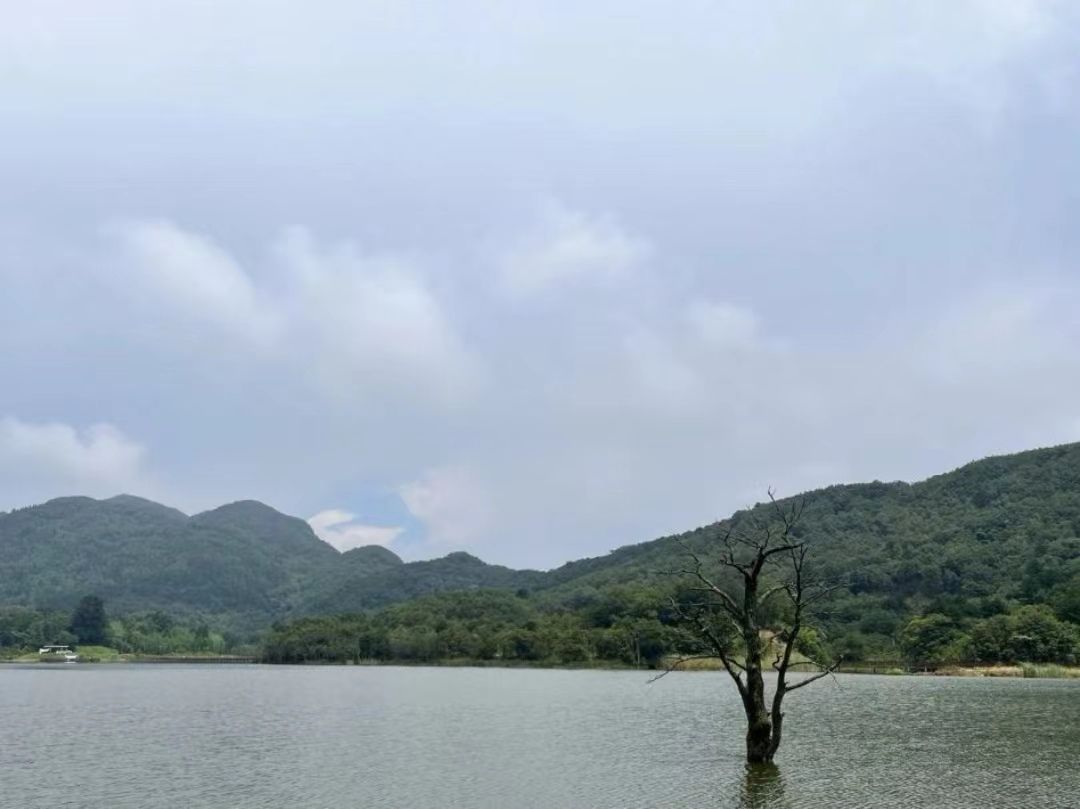 近月湖旅行图片 2