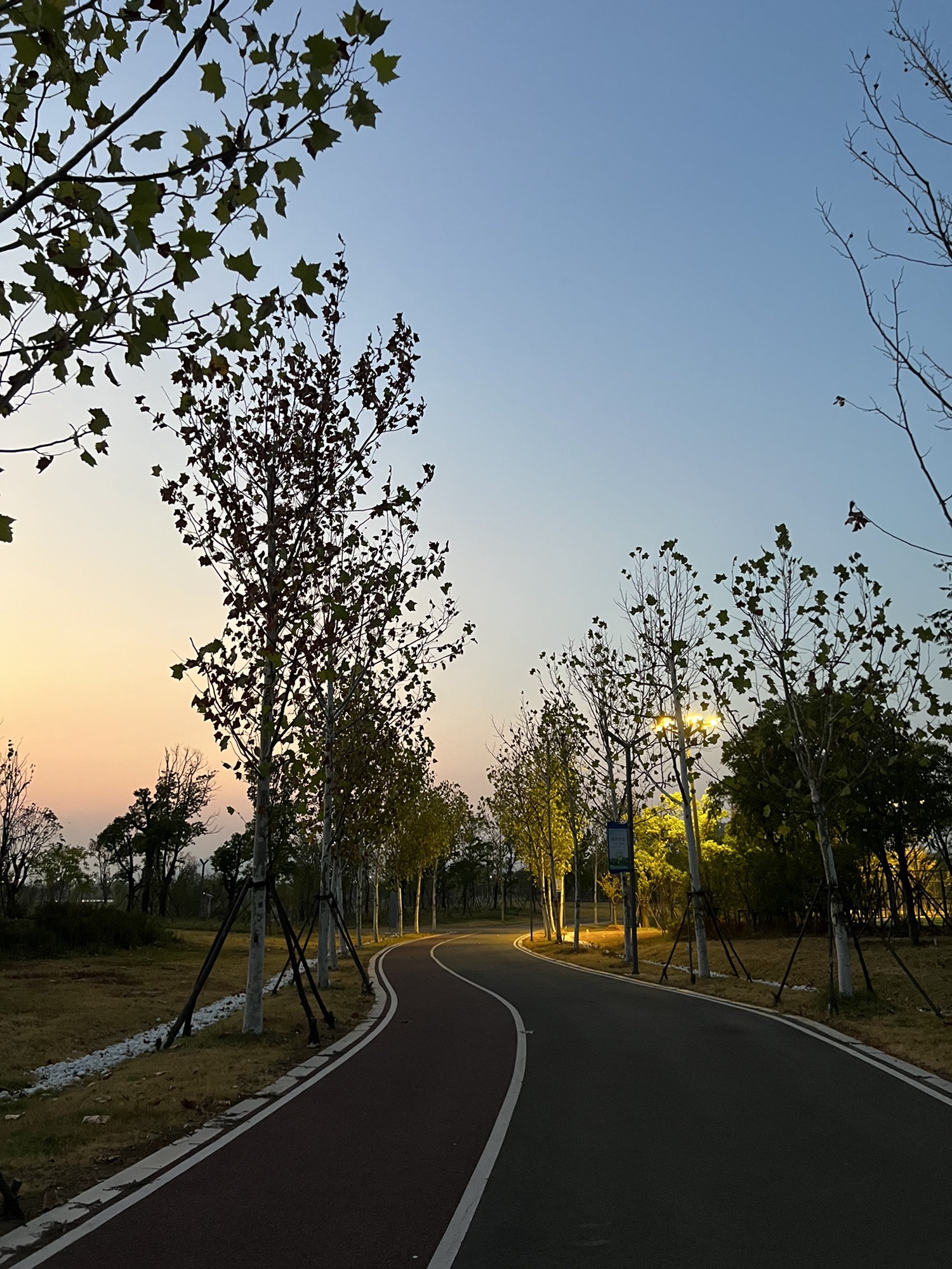 张湖公园旅行图片 3