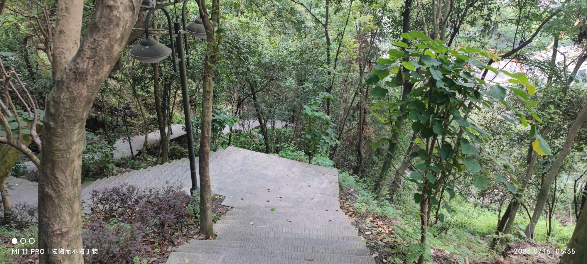 南山公园旅行图片 1
