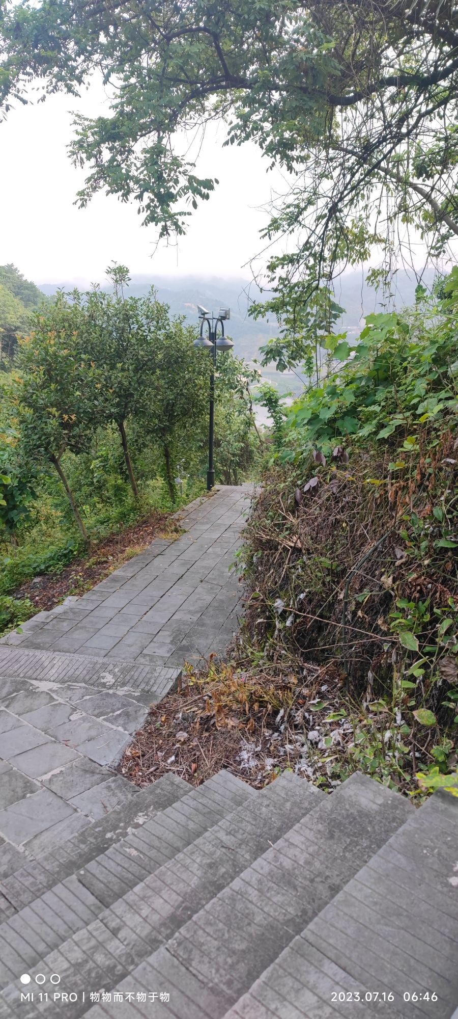 南山公园旅行图片 3