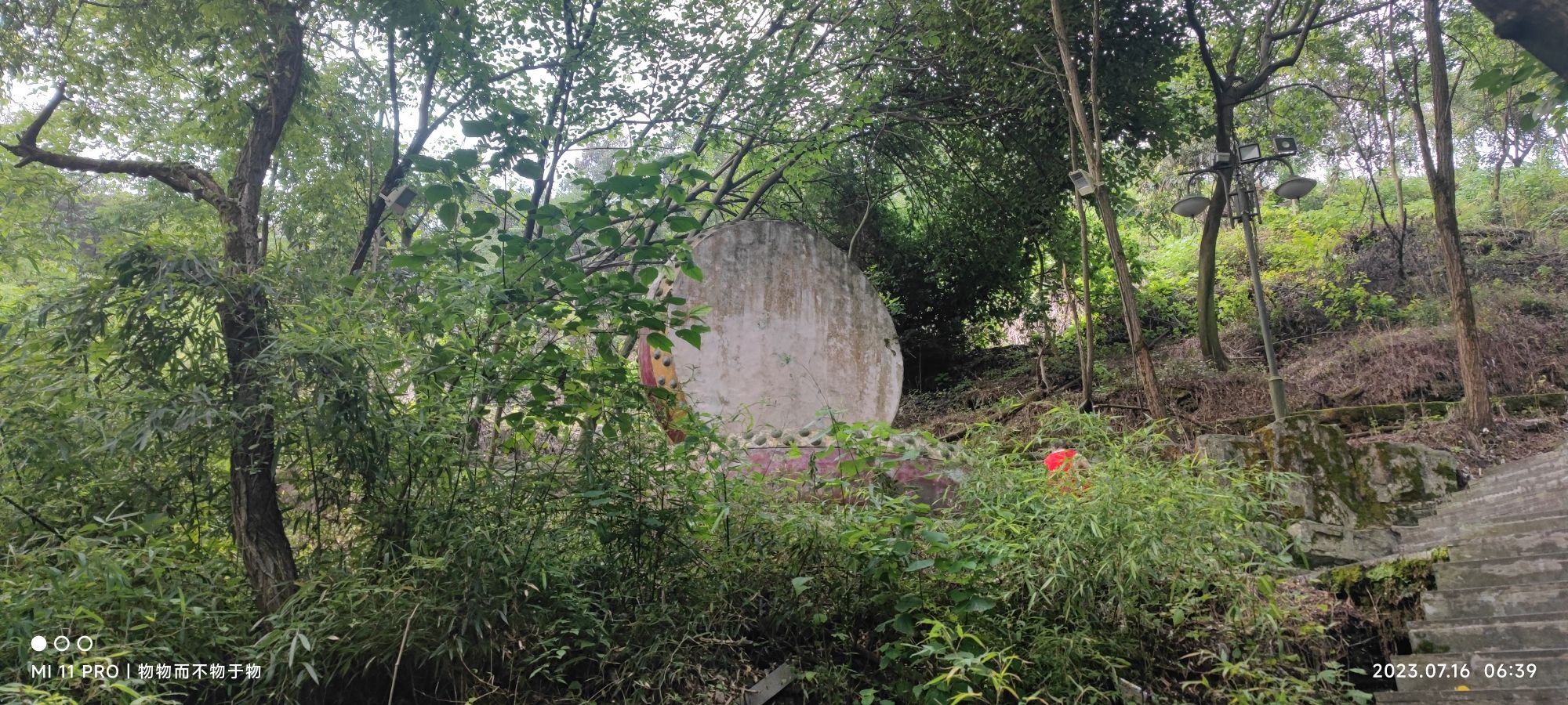 南山公园旅行图片 2