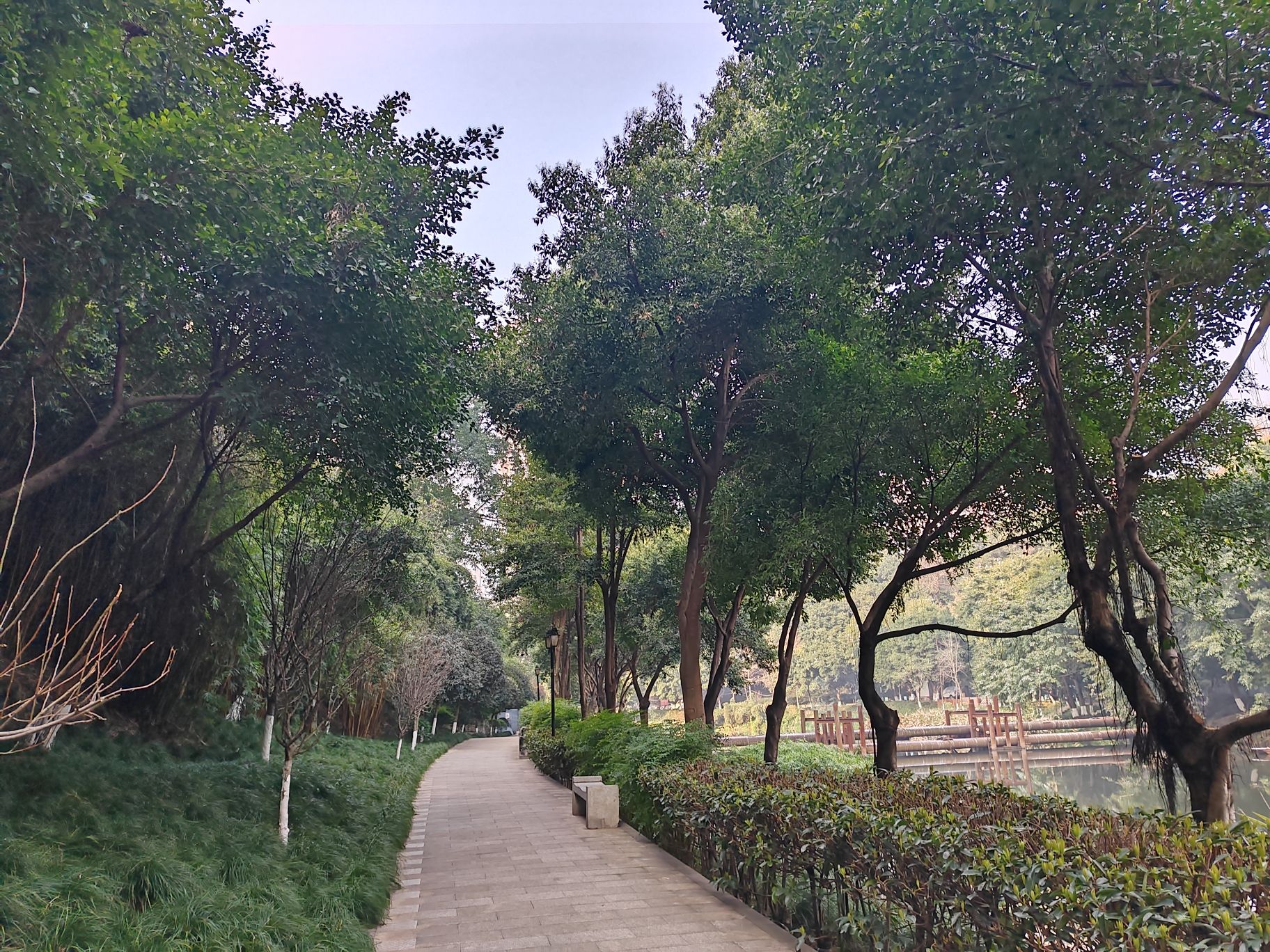 盘溪河公园旅行图片 2