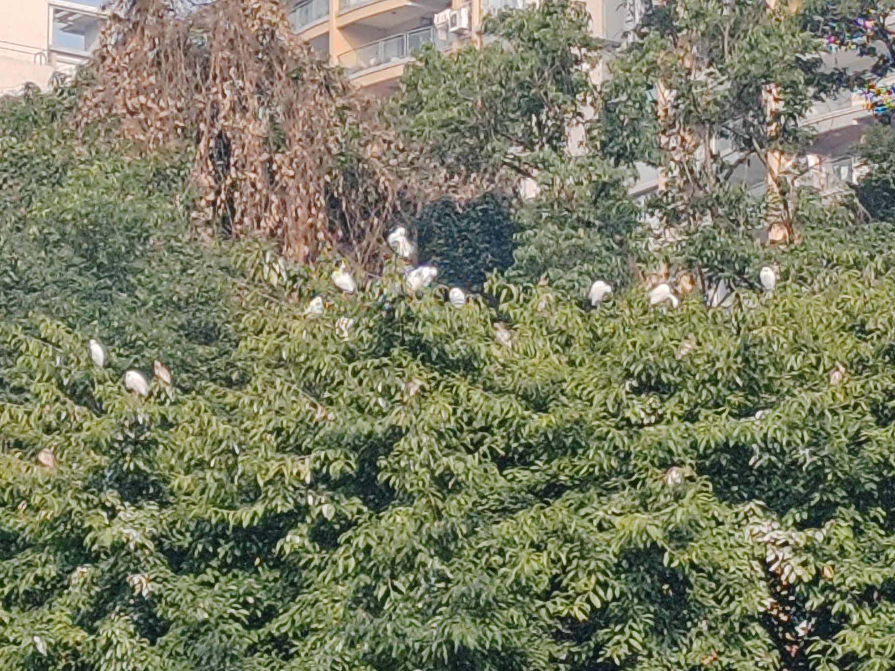 盘溪河公园旅行图片 3