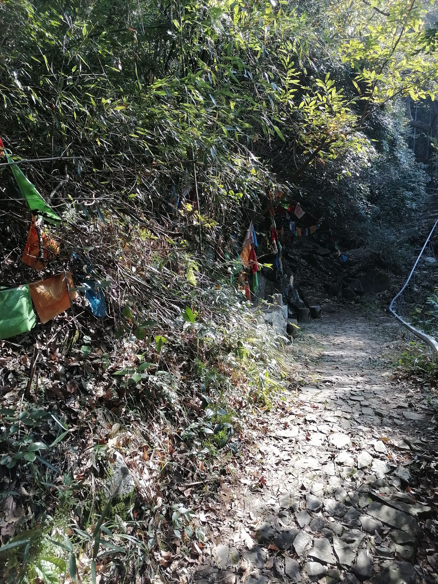 乌龙古道旅行图片 2