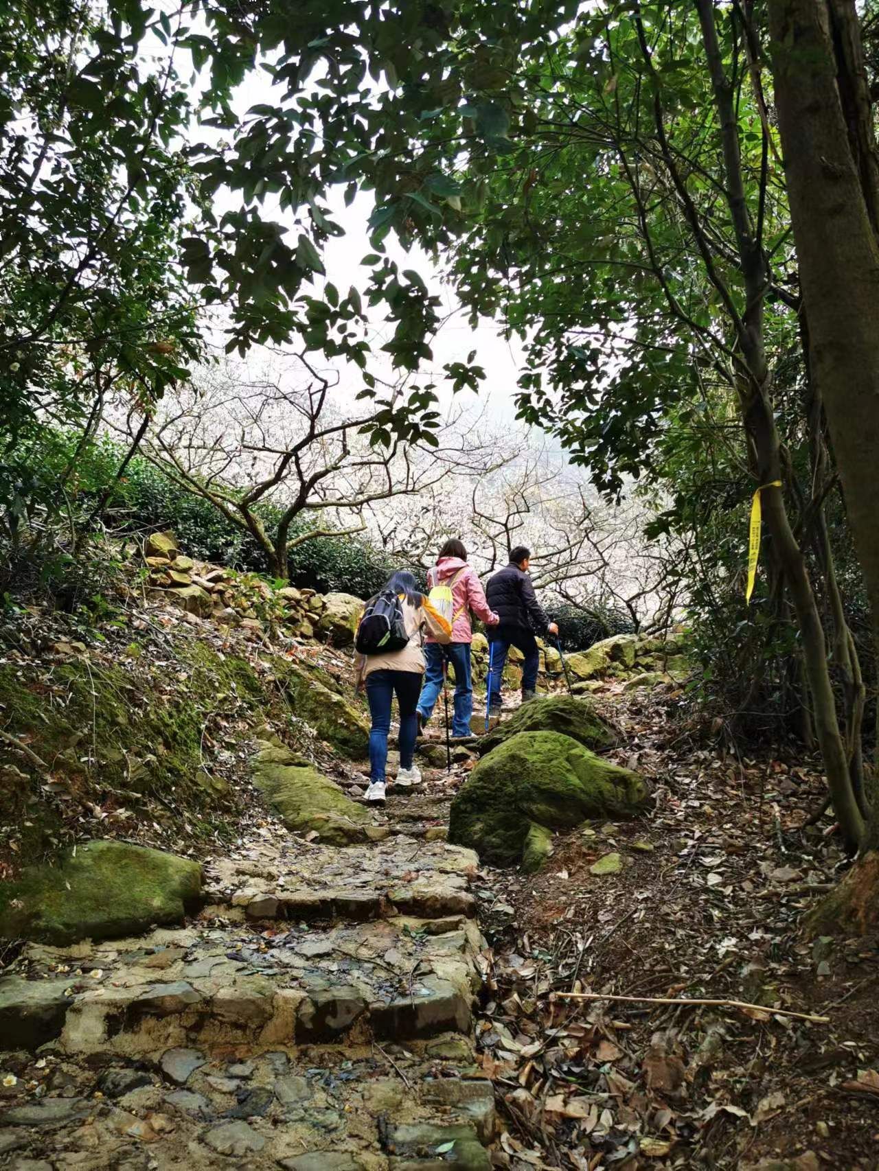 乌龙古道旅行图片 1