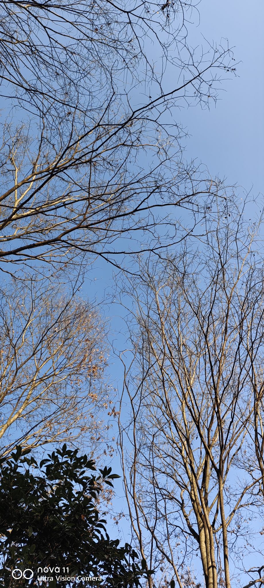 神龙湾森林旅行图片 1