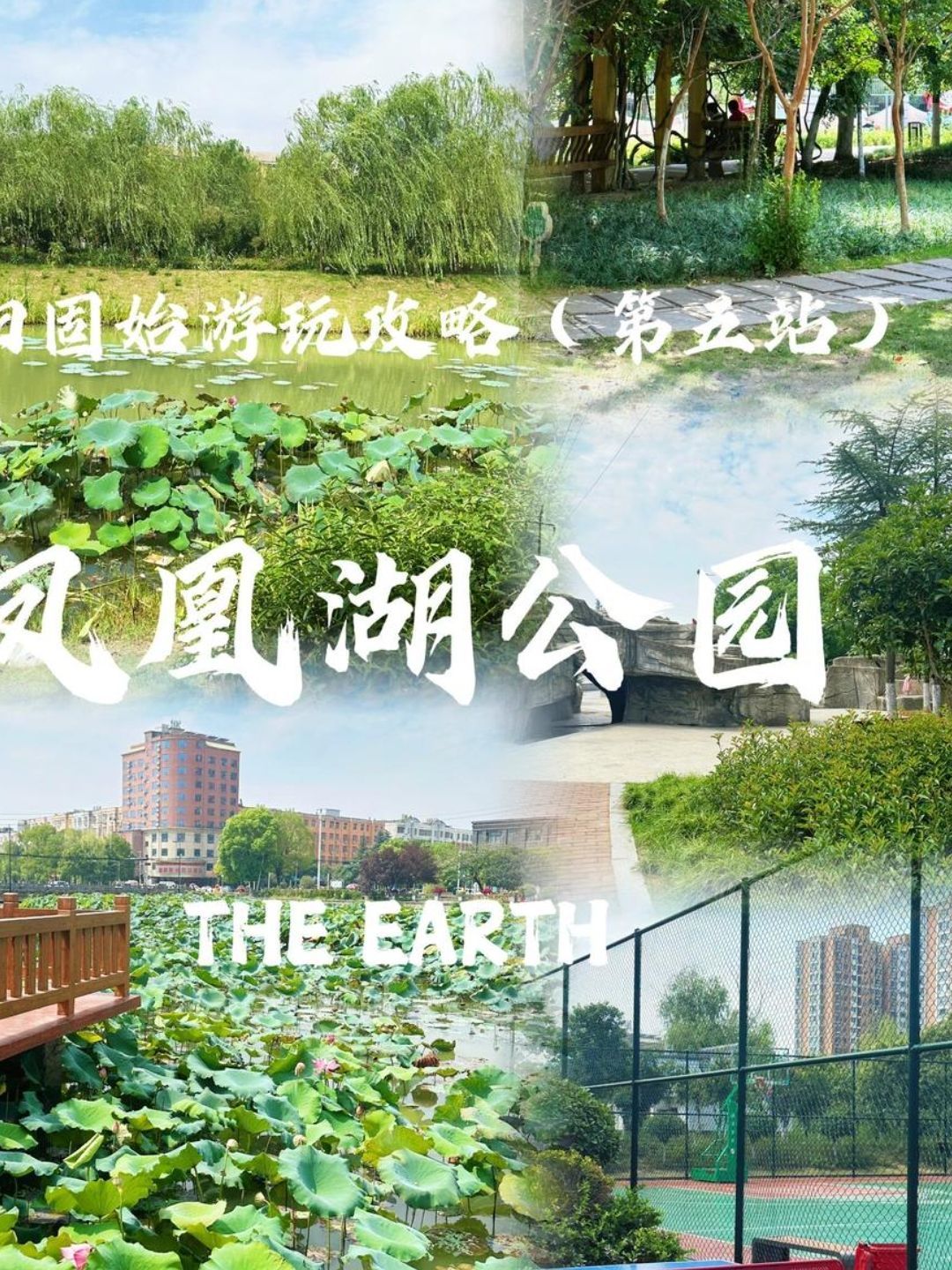 凤凰湖公园旅行图片 2