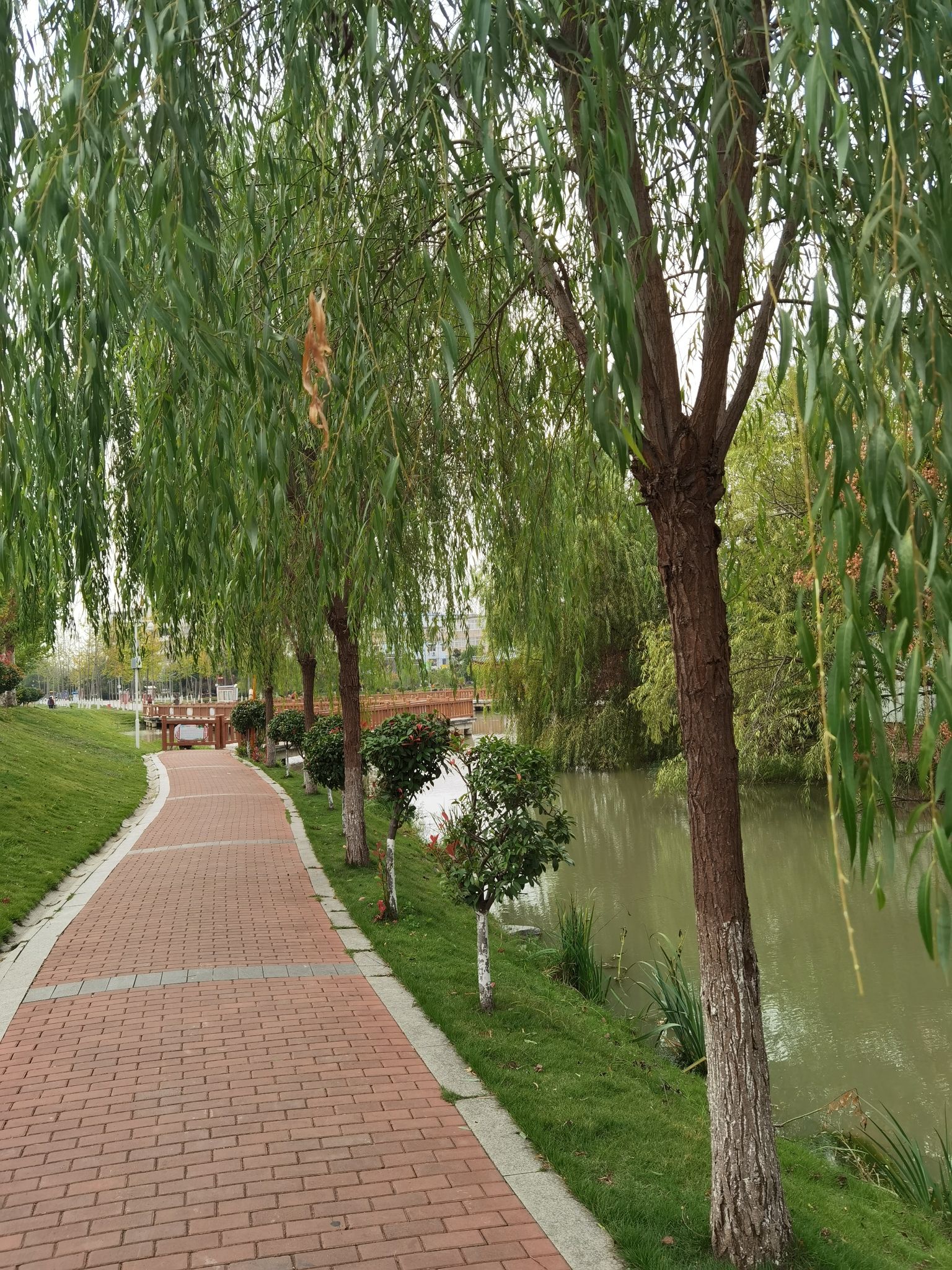 凤凰湖公园旅行图片 3
