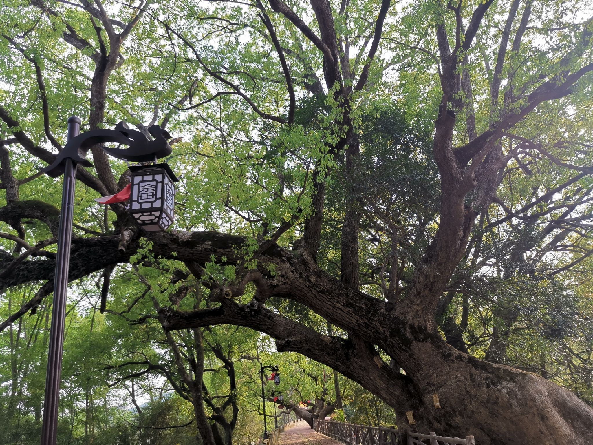 镇龙寺实景照片