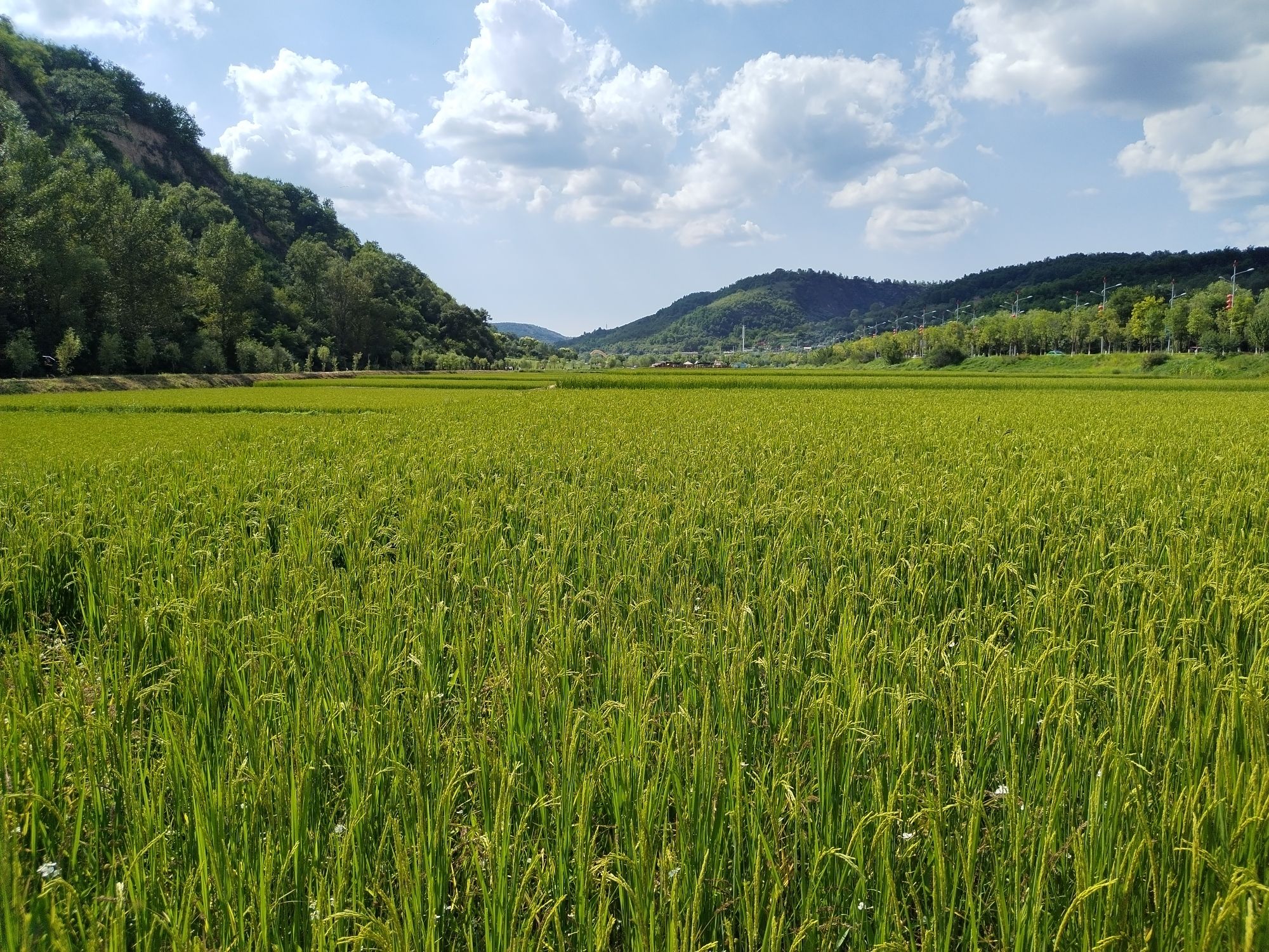 延安炮兵学校旧址