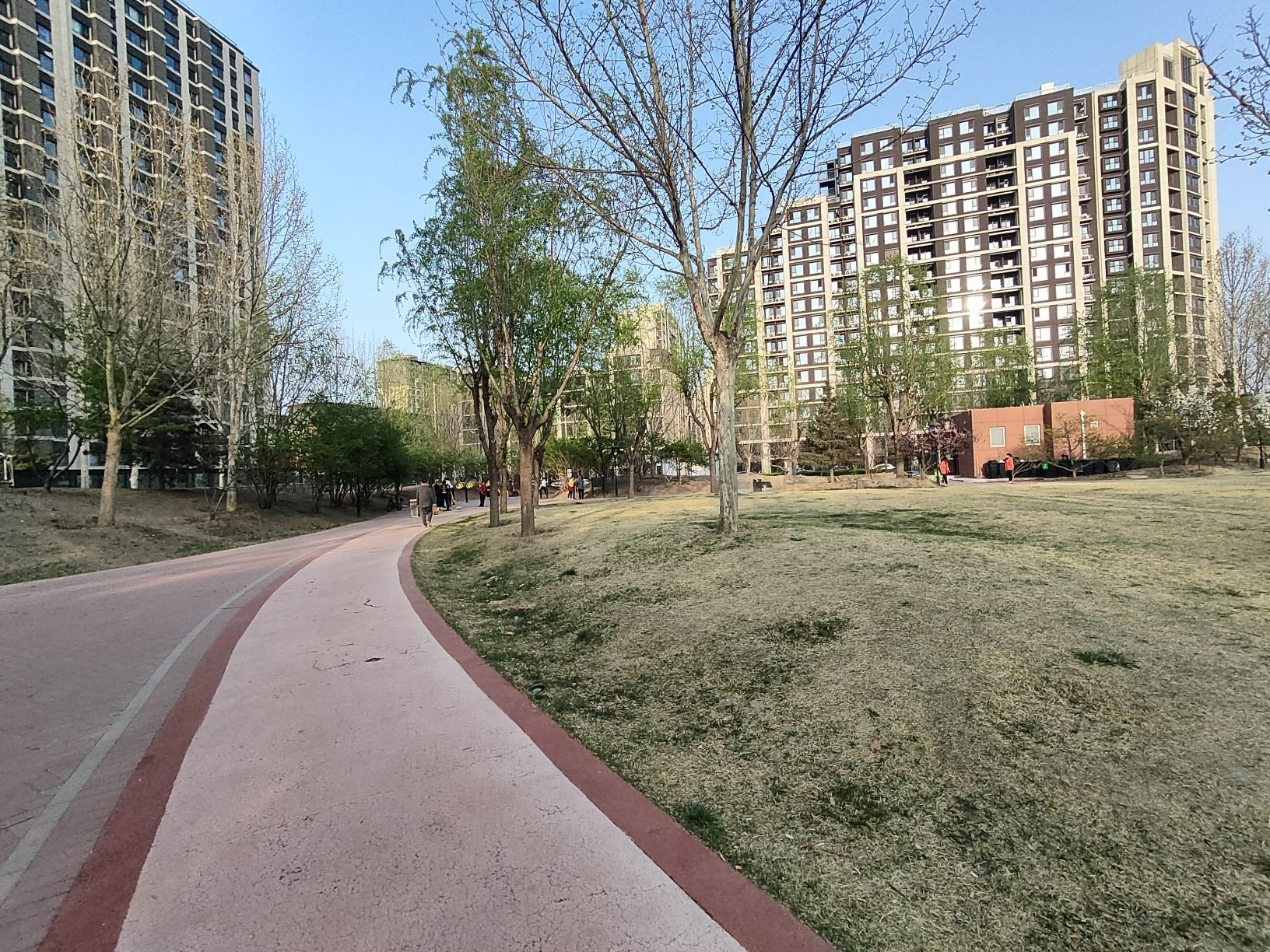 金茂悦健身公园旅行图片 2