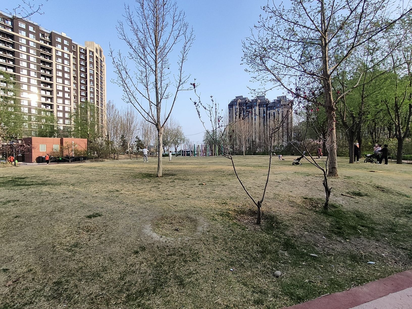 金茂悦健身公园旅行图片 1