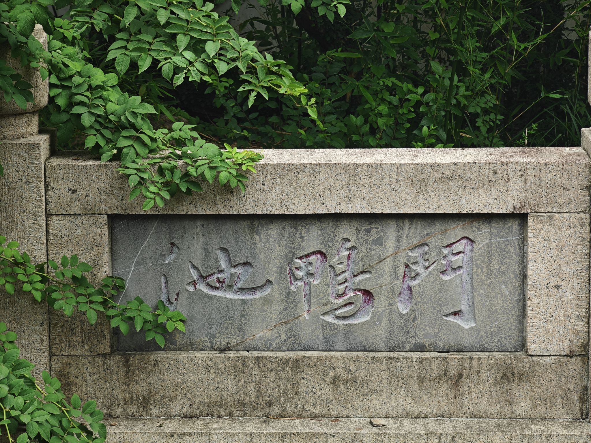 虎丘山风景区-斗鸭池