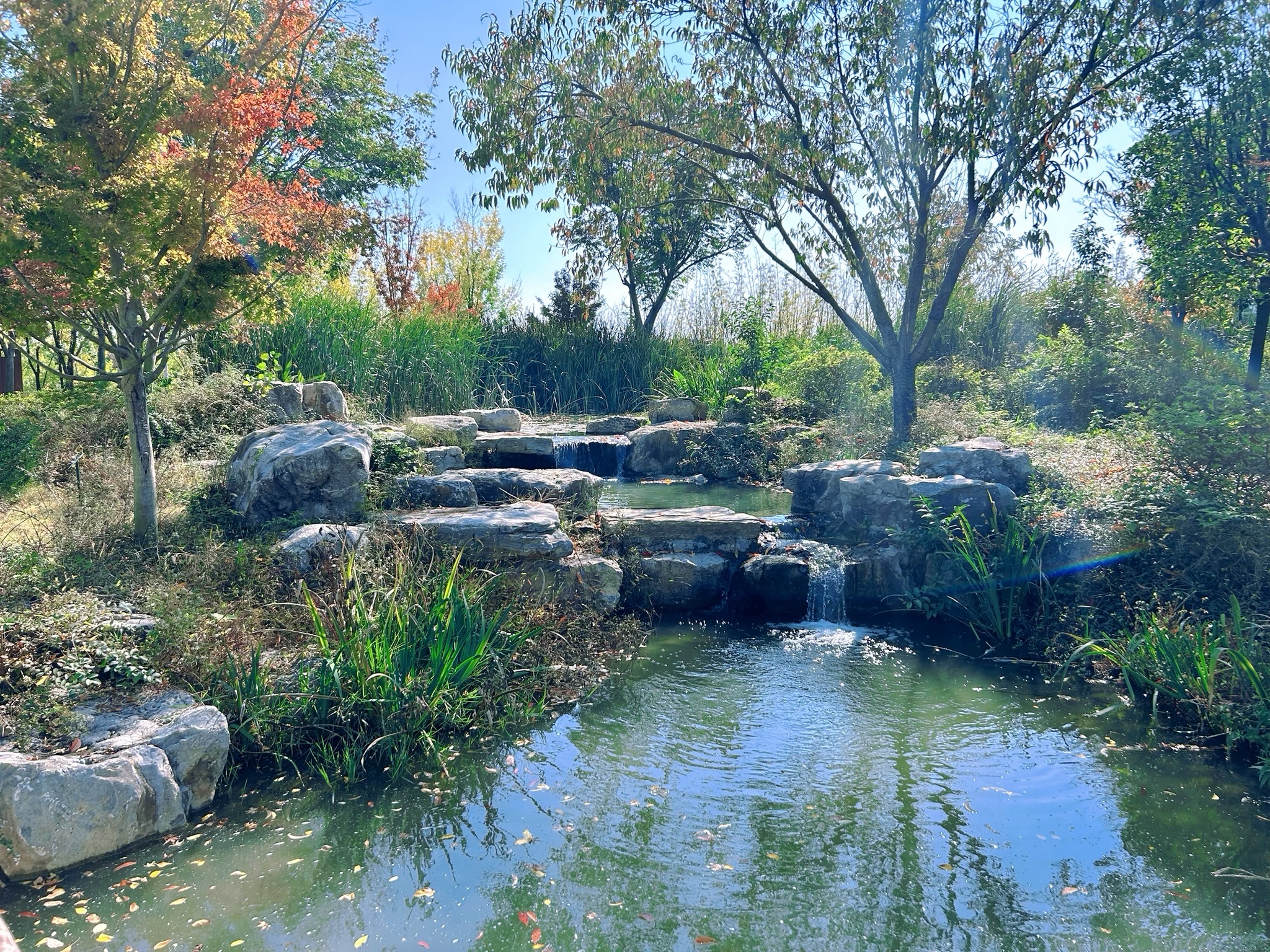 阜阳植物园旅行图片 2