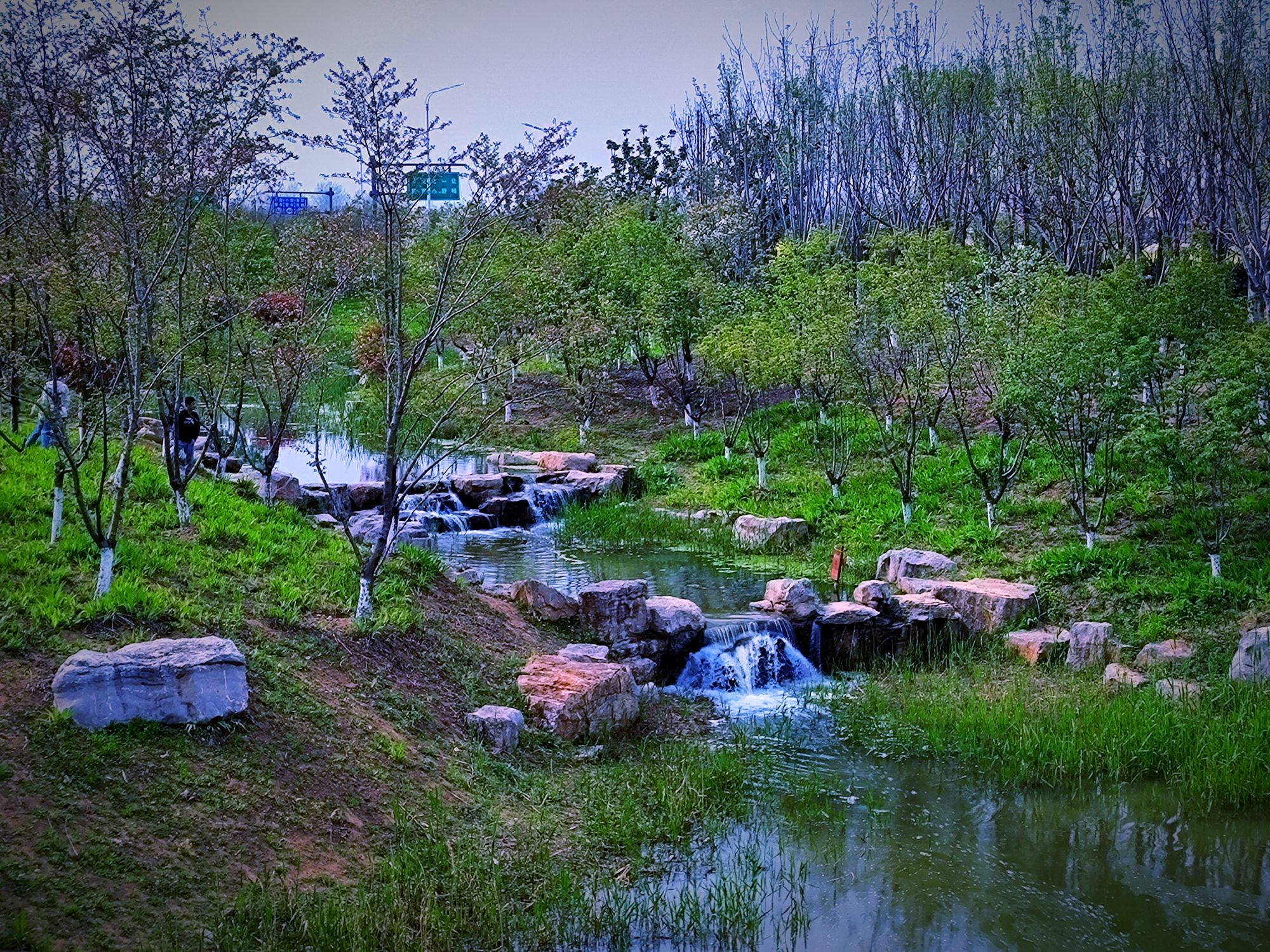 阜阳植物园旅行图片 2