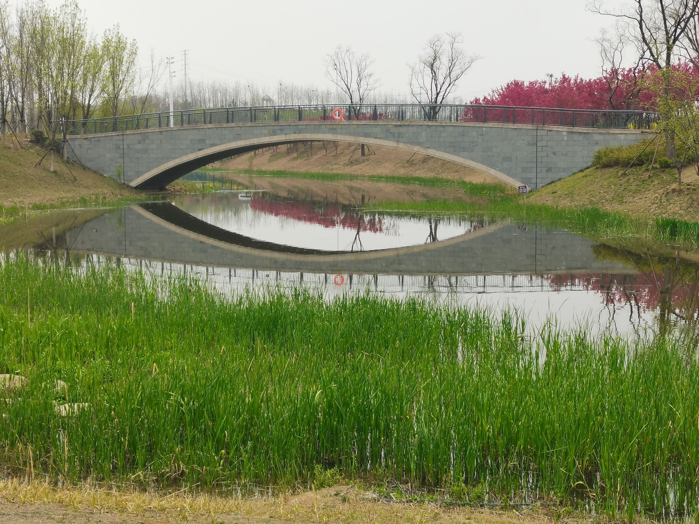 阜阳植物园旅行图片 1