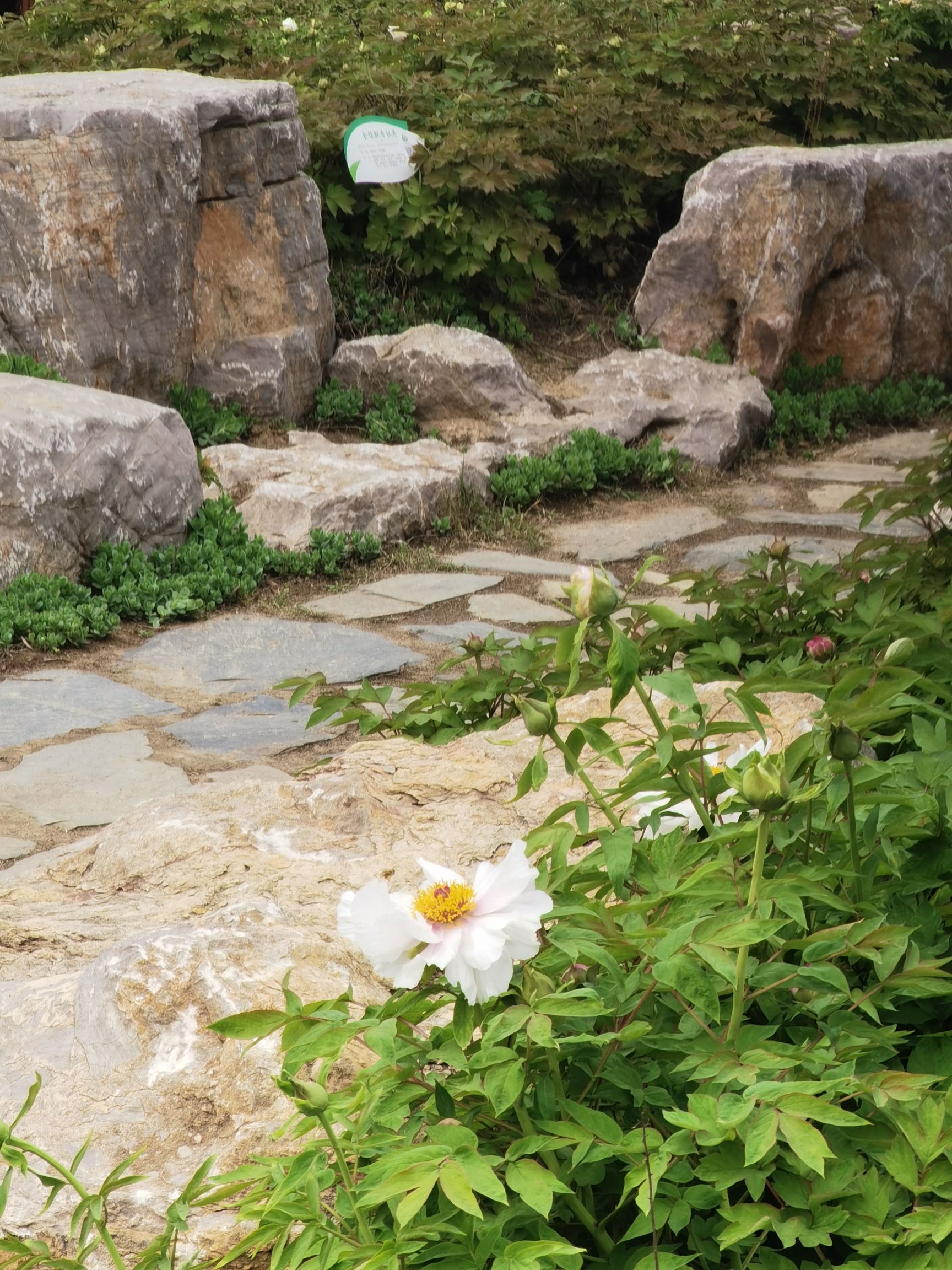 阜阳植物园旅行图片 3