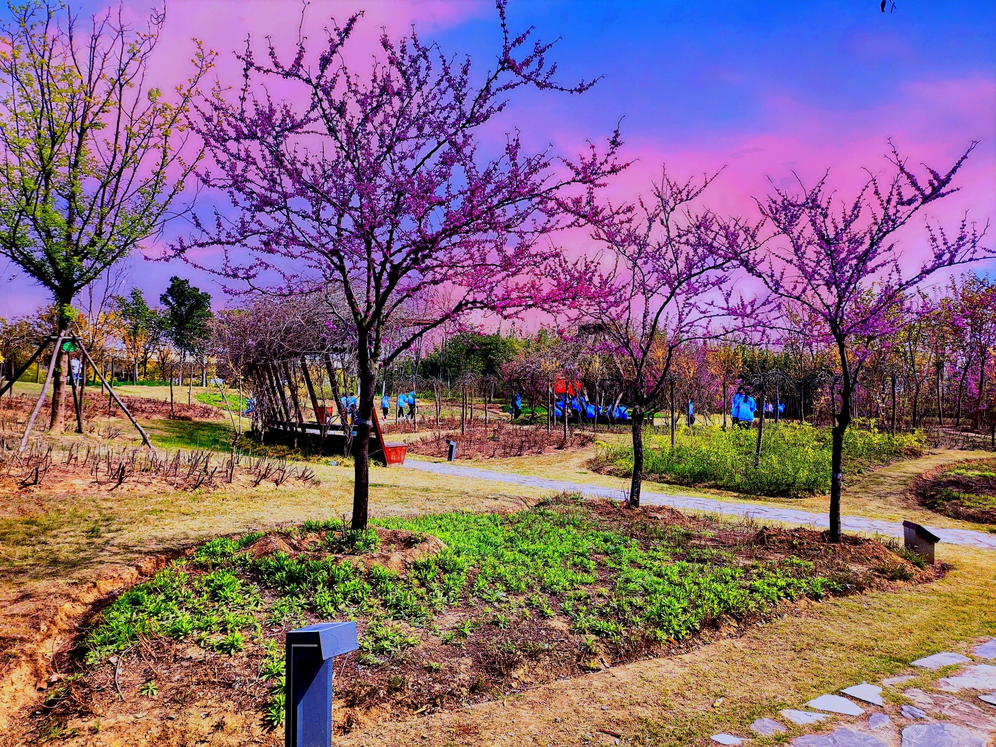 阜阳植物园旅行图片 3