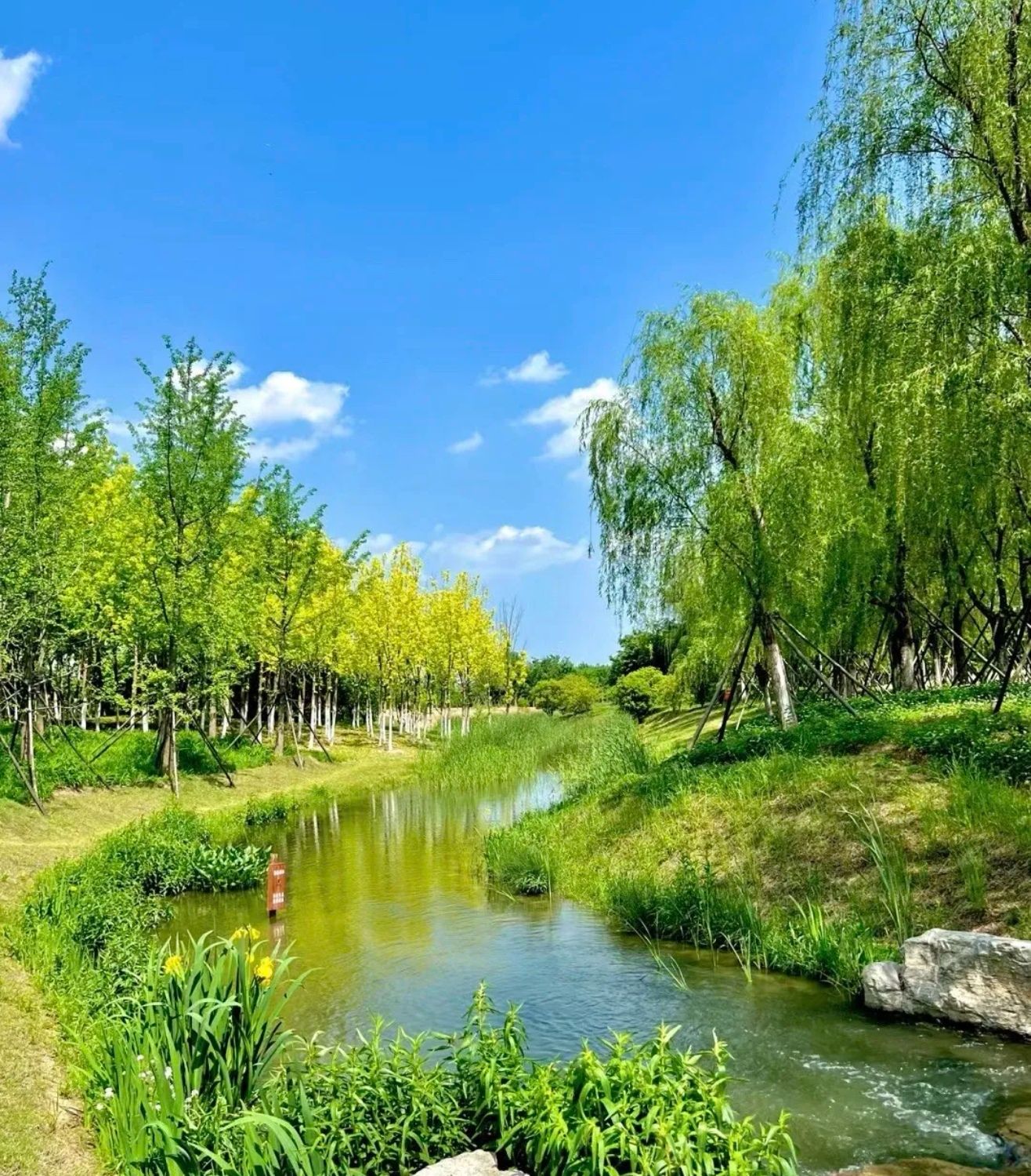 阜阳植物园旅行图片 3