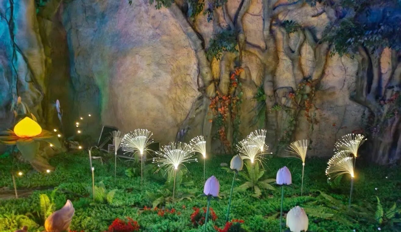 阜阳植物园旅行图片 2