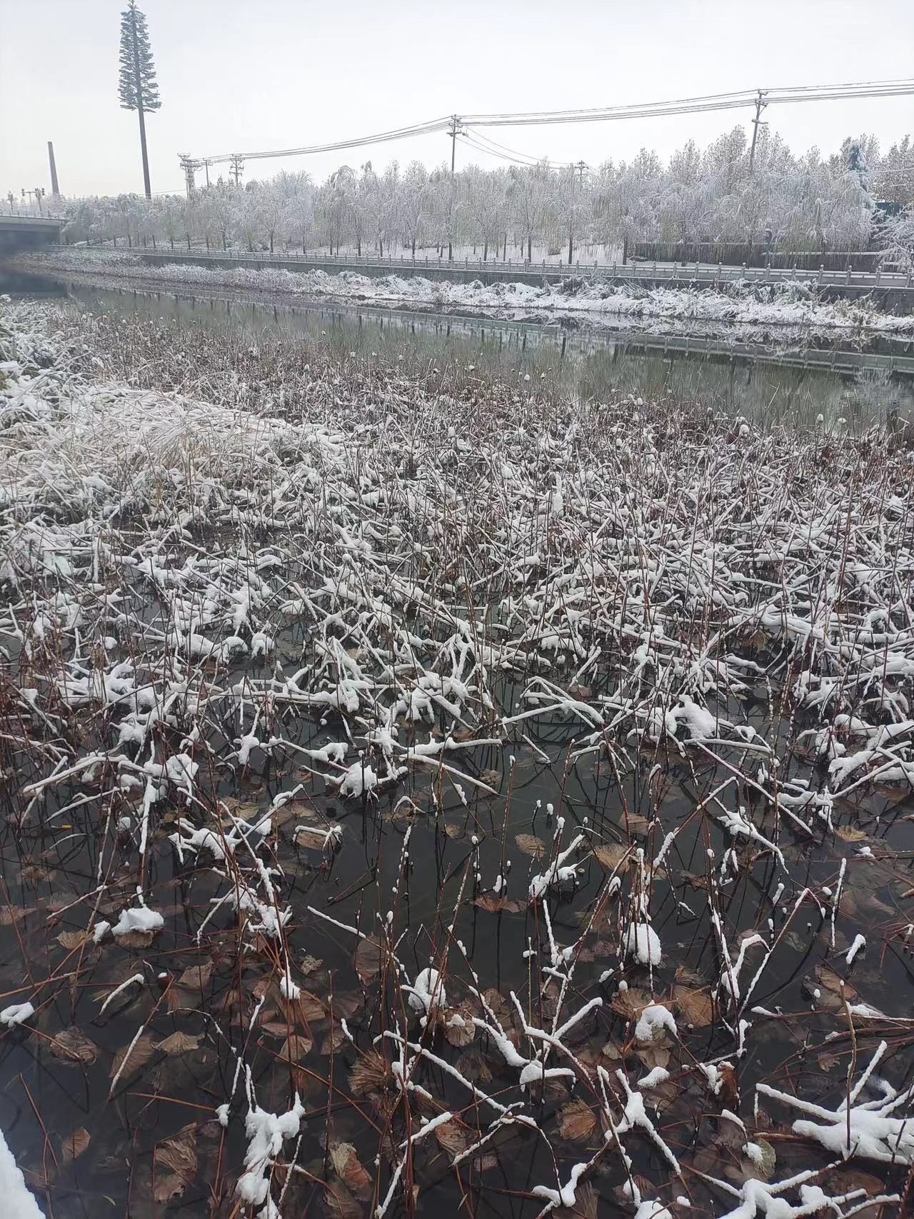 滨河公园旅行图片 2