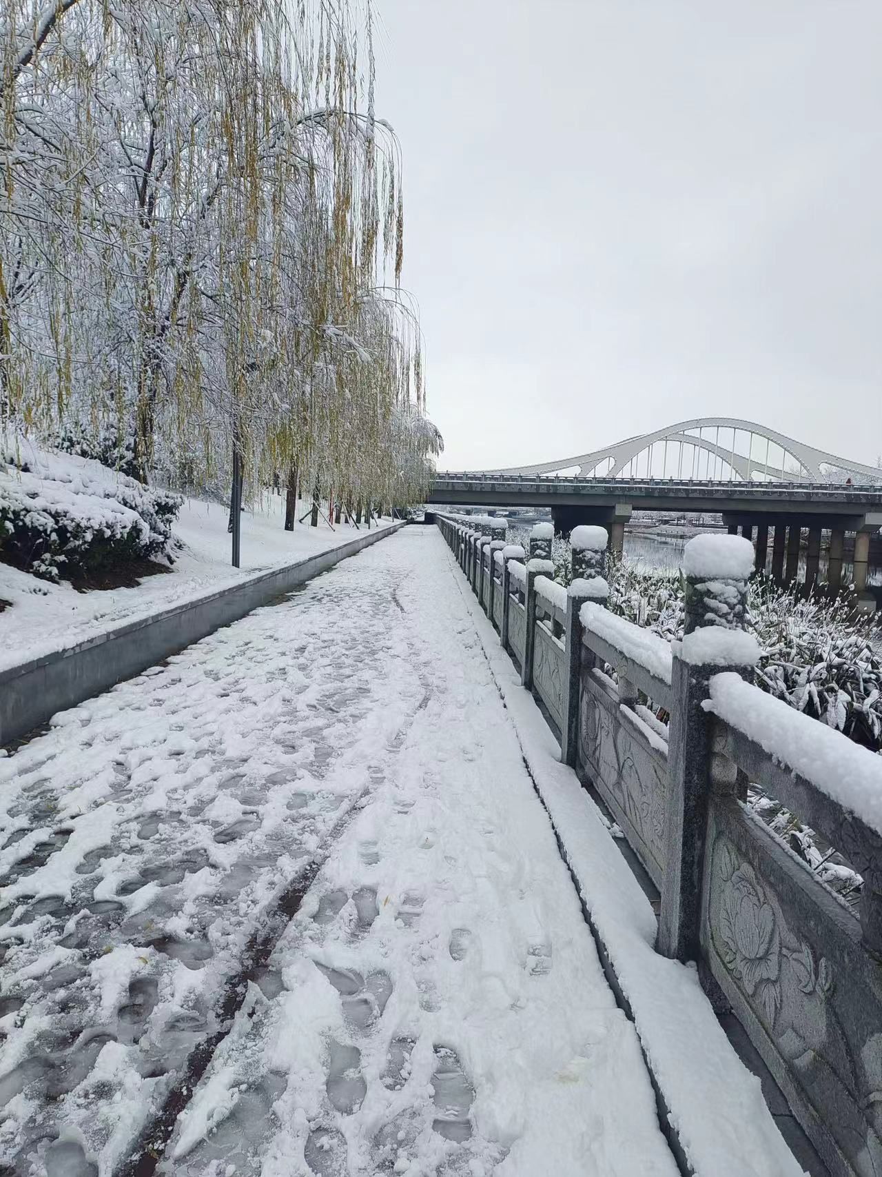 滨河公园旅行图片 3