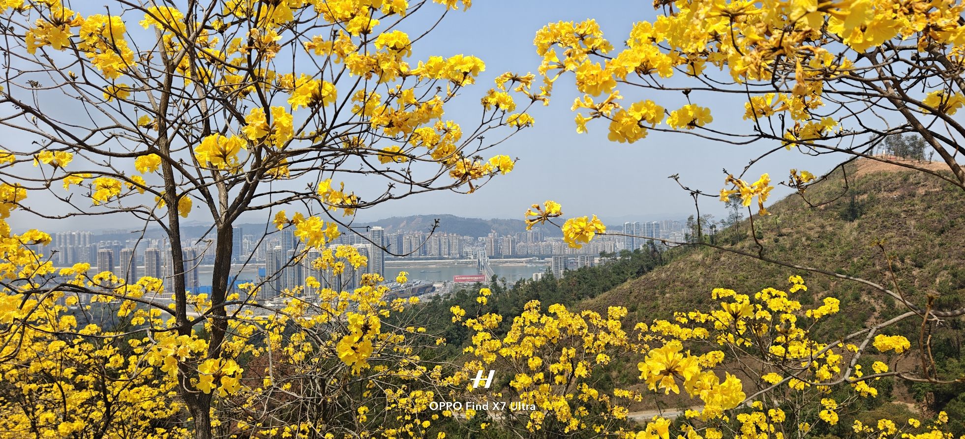 梧州市广信森林公园