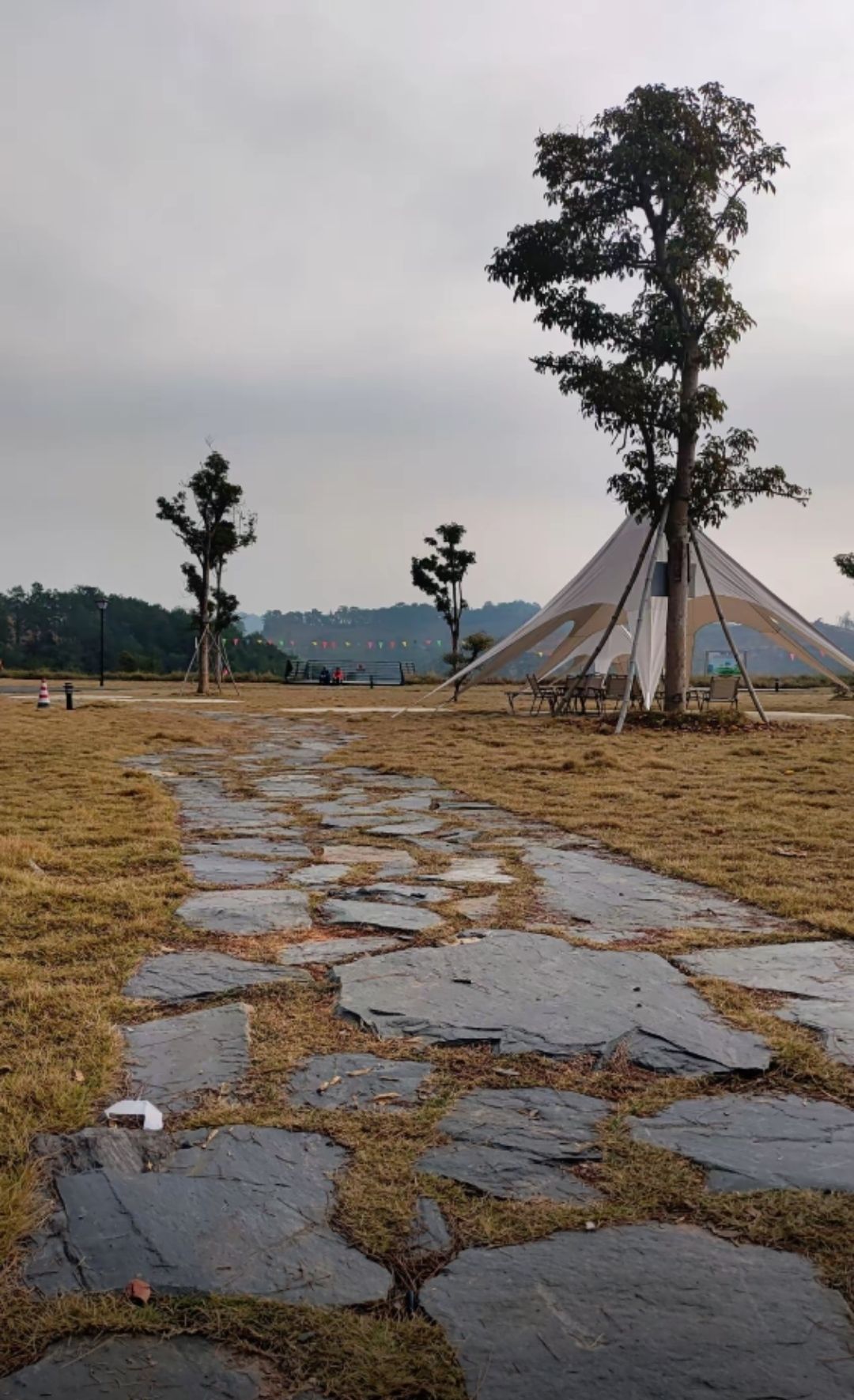 梧州市广信森林公园旅行图片 2
