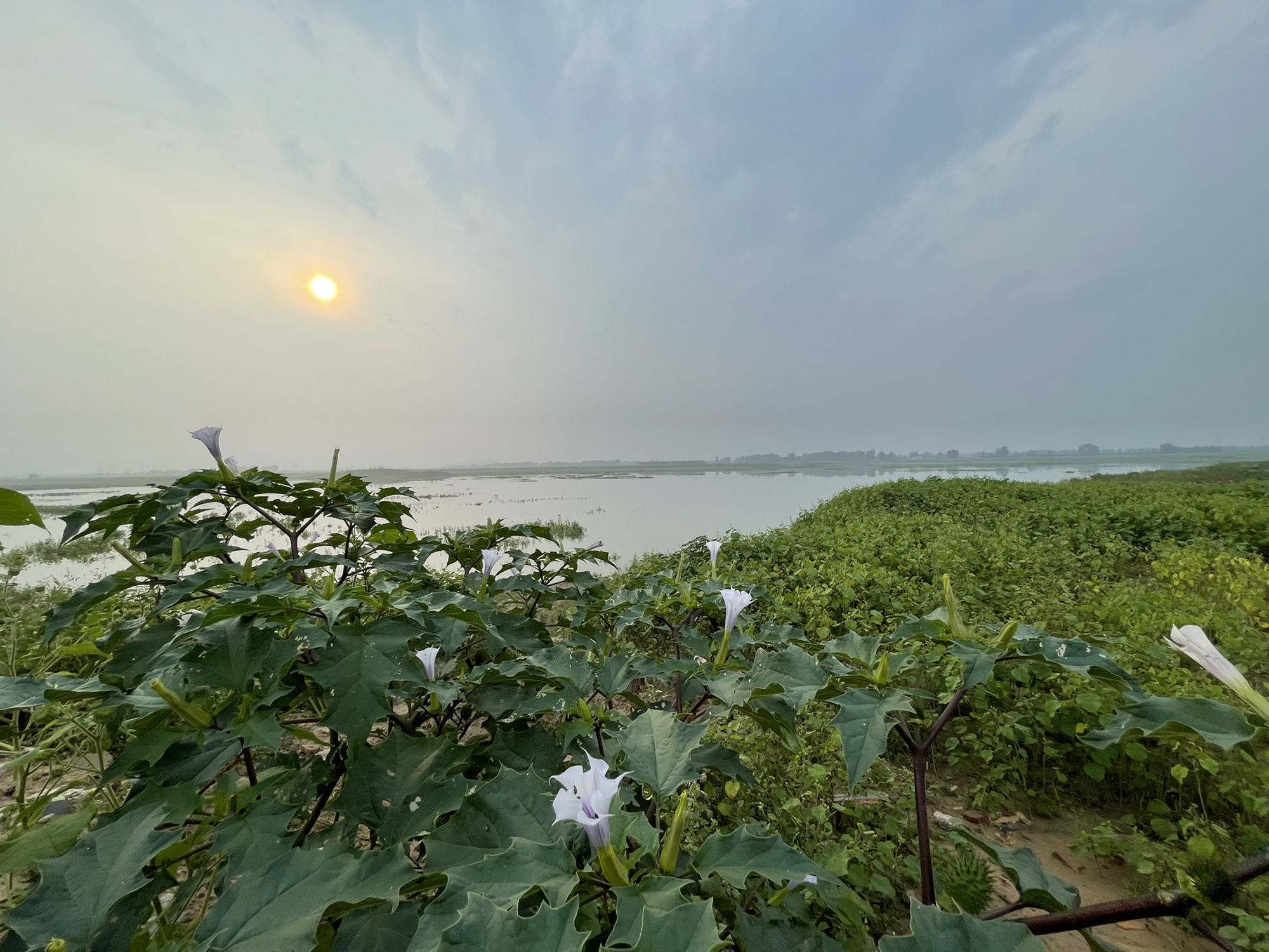 朔州太平窑水库(建设中)旅行图片 1