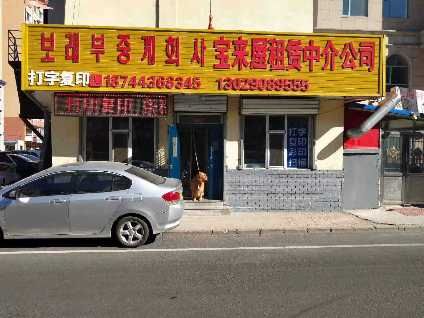 宝来屋租赁中介公司