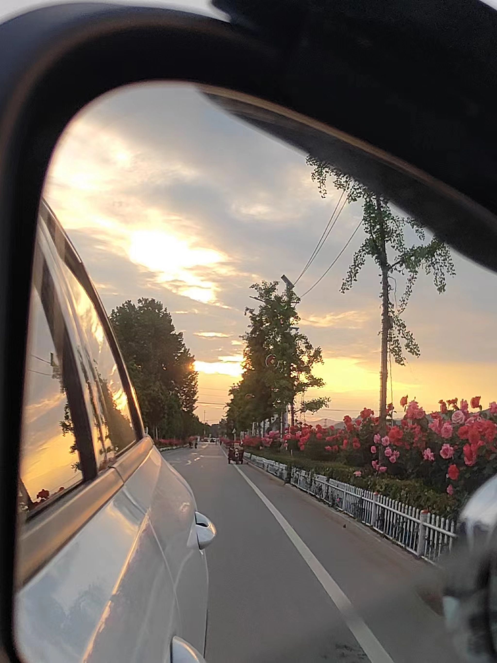 孙沟村桃花园旅行图片 1