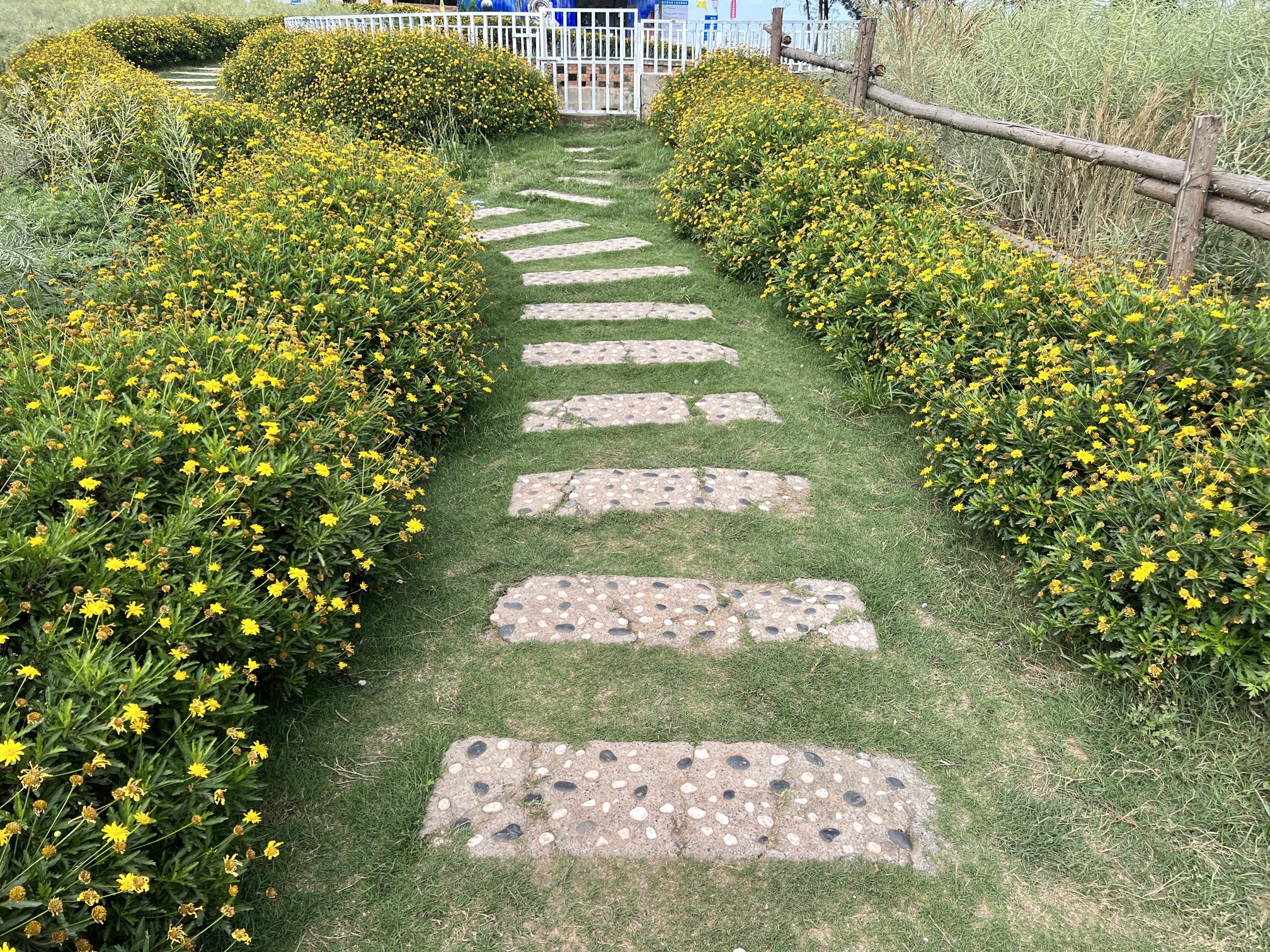大回湾观景点旅行图片 3