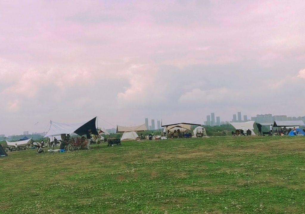 正兴镇景观大草坪旅行图片 2
