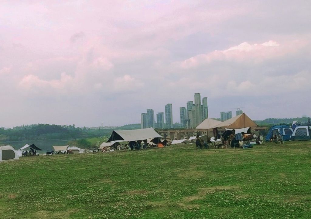 正兴镇景观大草坪旅行图片 1